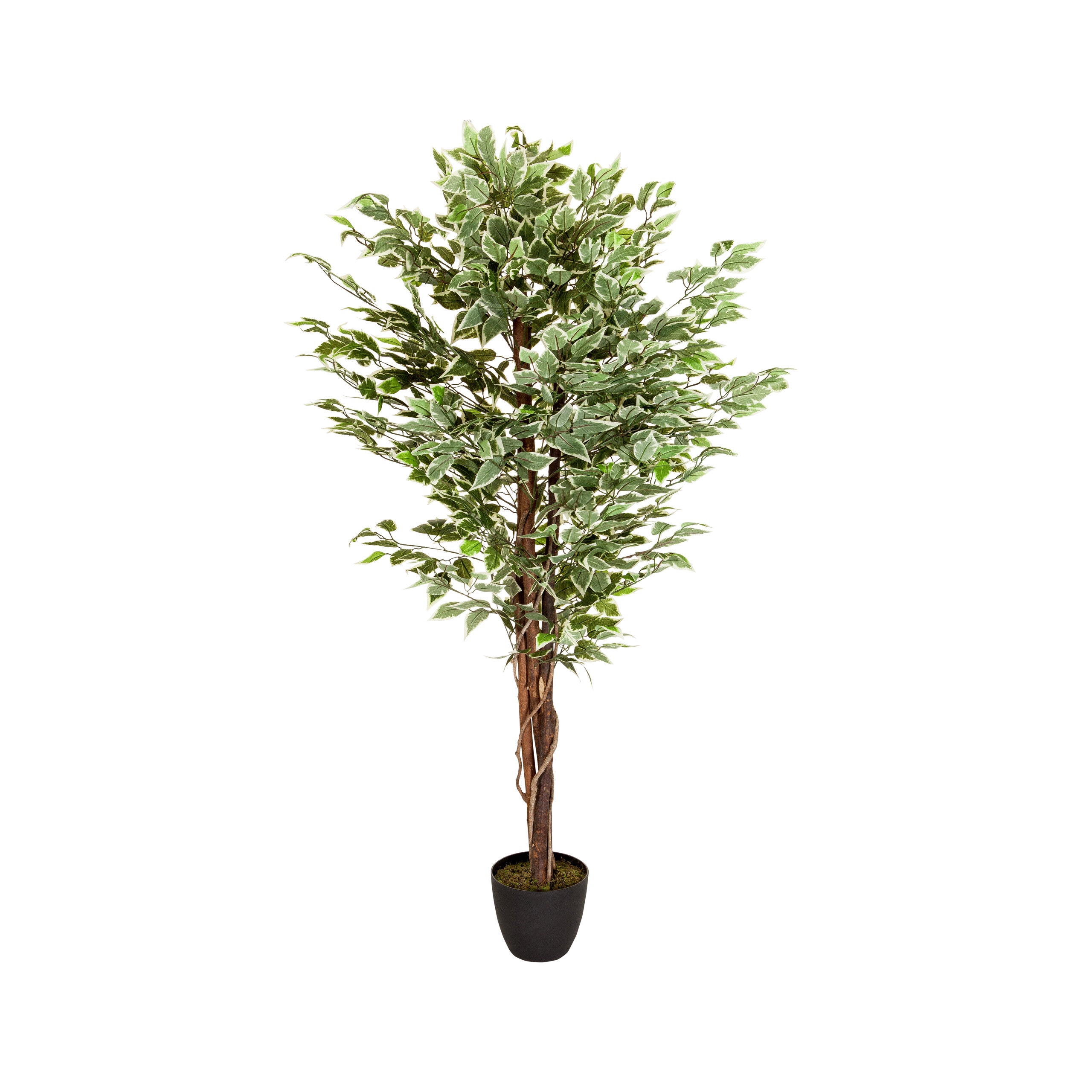 Sztuczna roślina FICUS Zielony hjh OFFICE