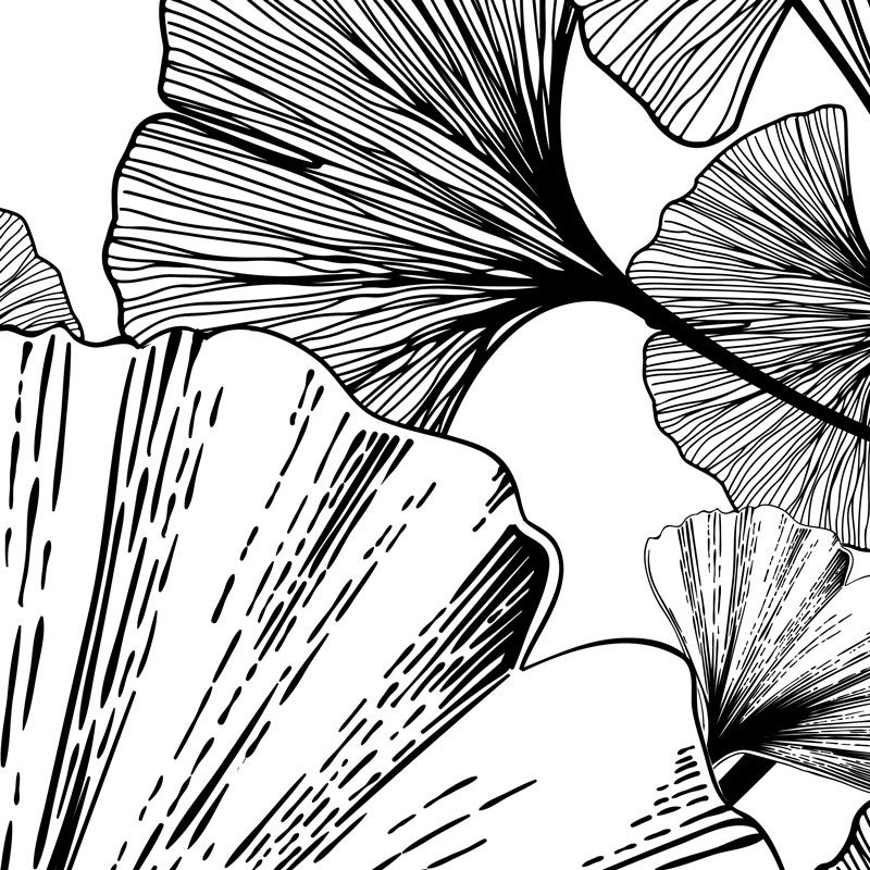 Crédence de salle de bain en PVC floral noir 140x30 cm (en 2 bandeaux) - Gingko - 2