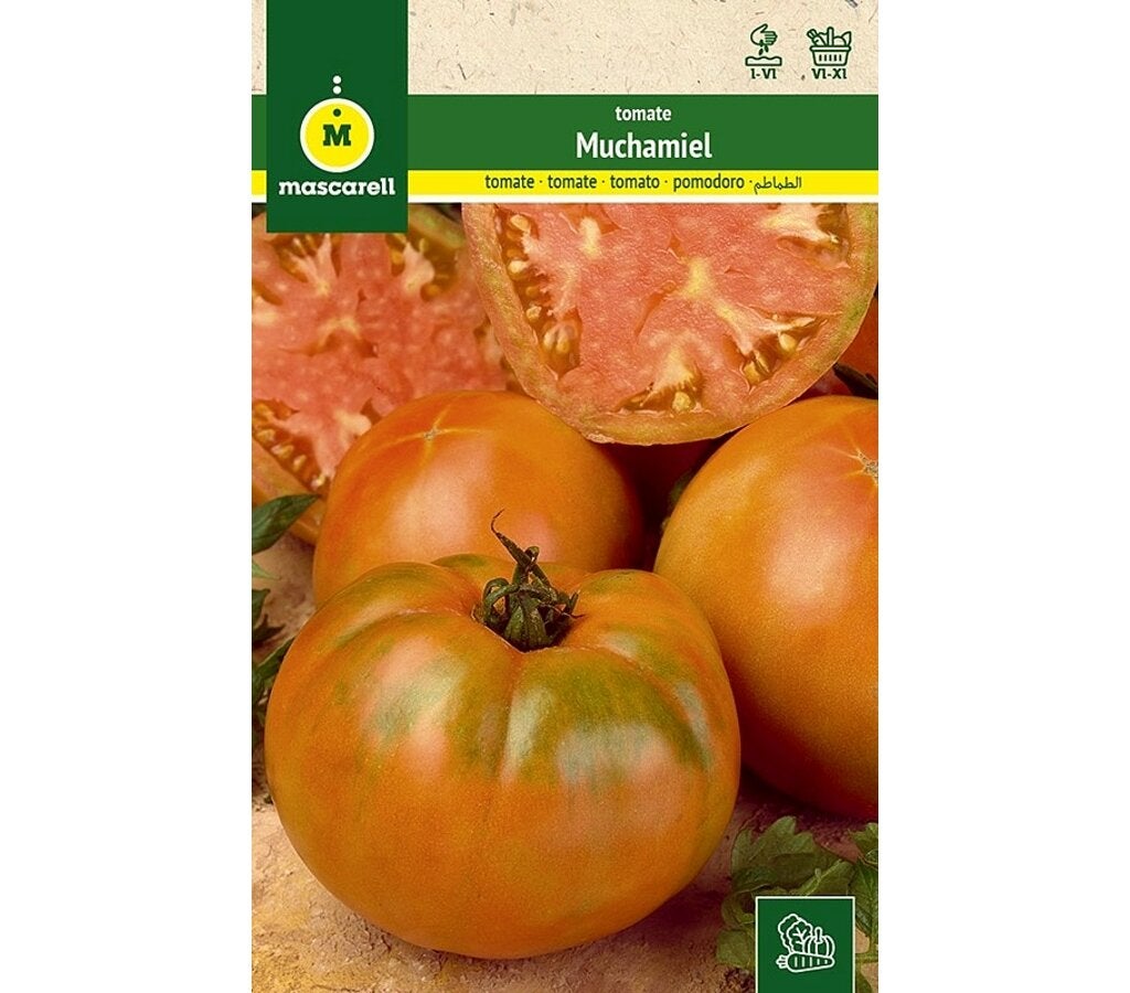 SEMILLAS TOMATE MUCHAMIEL | Leroy Merlin