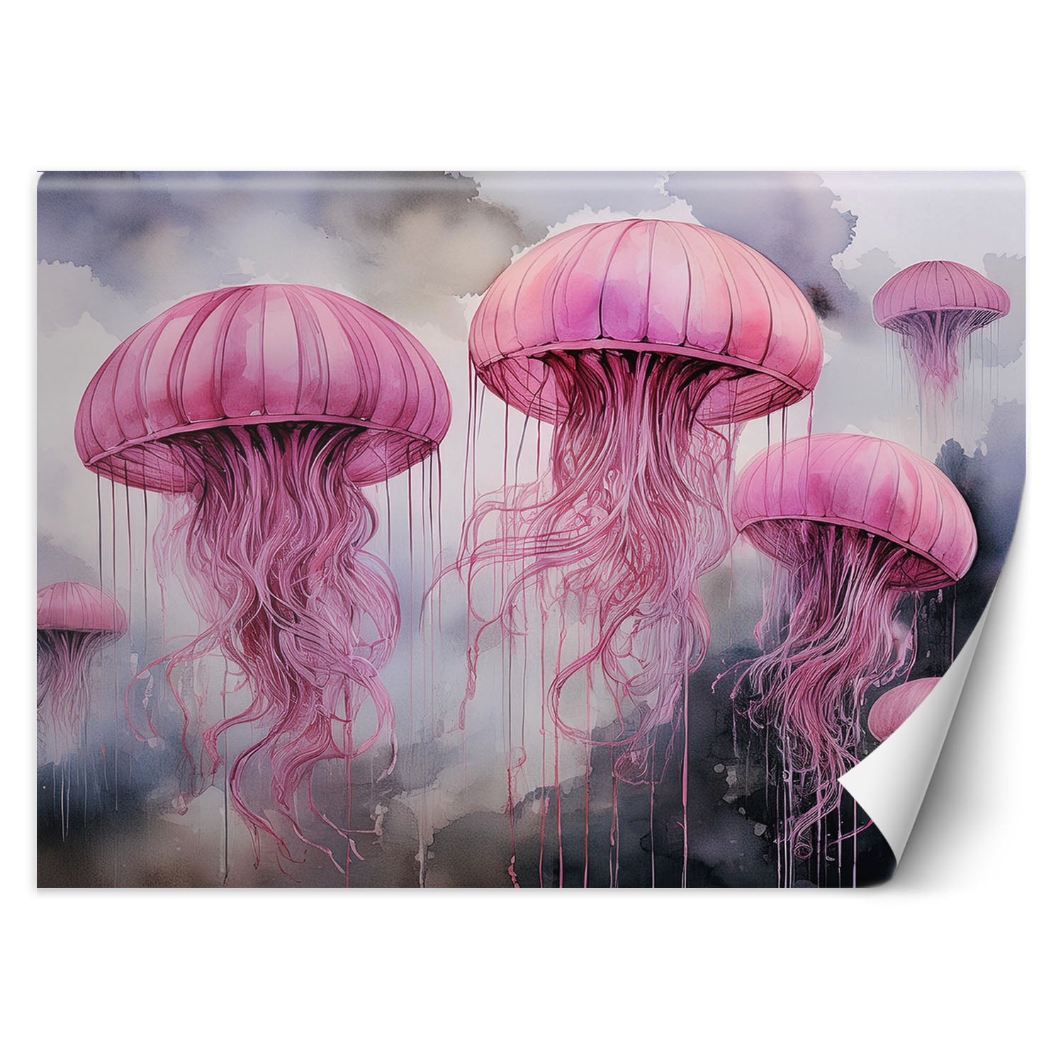 Fototapeta, Różowa meduza 250x175