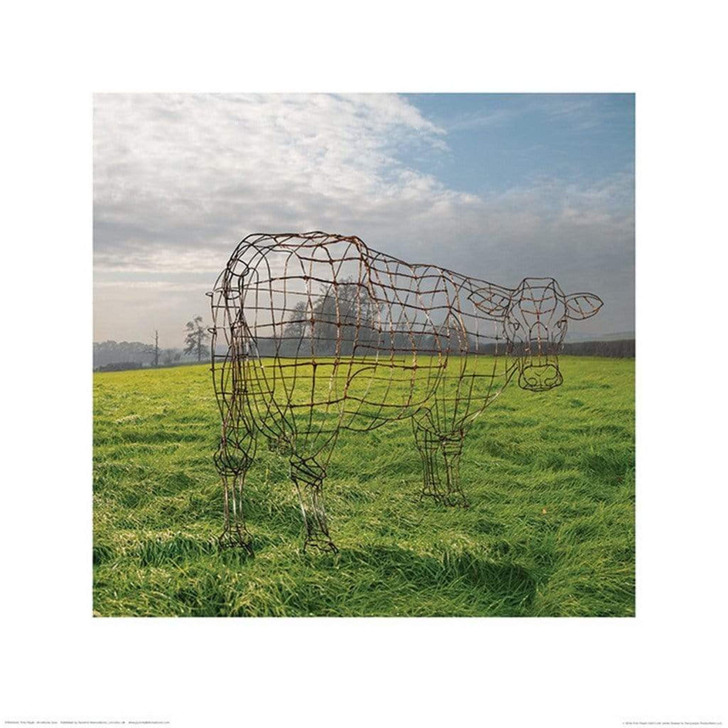 Affiche Art Pink Floyd - Wireframe Cow 40x40cm | Leroy Merlin