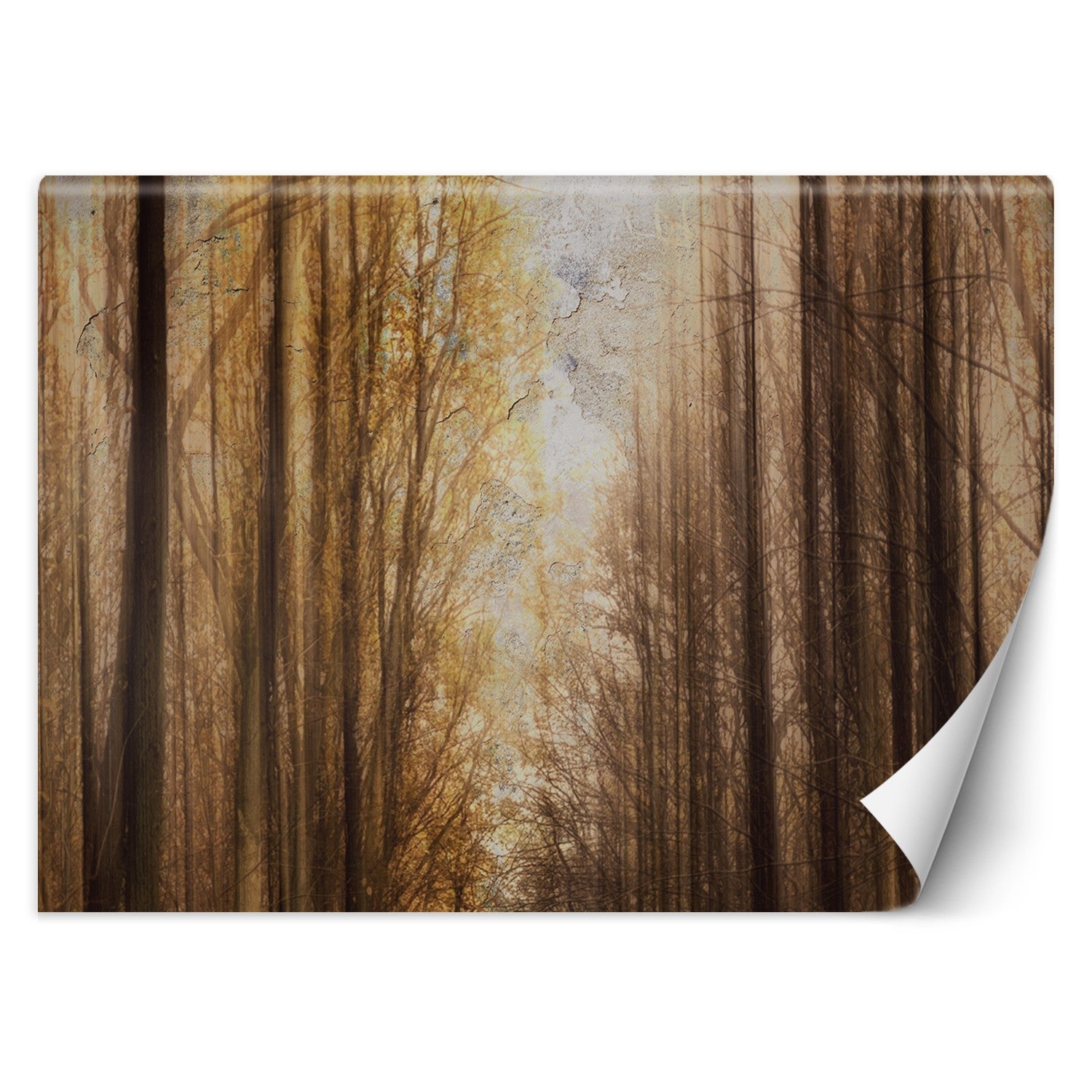 Fototapeta, Jesień Las Drzewa 450x315