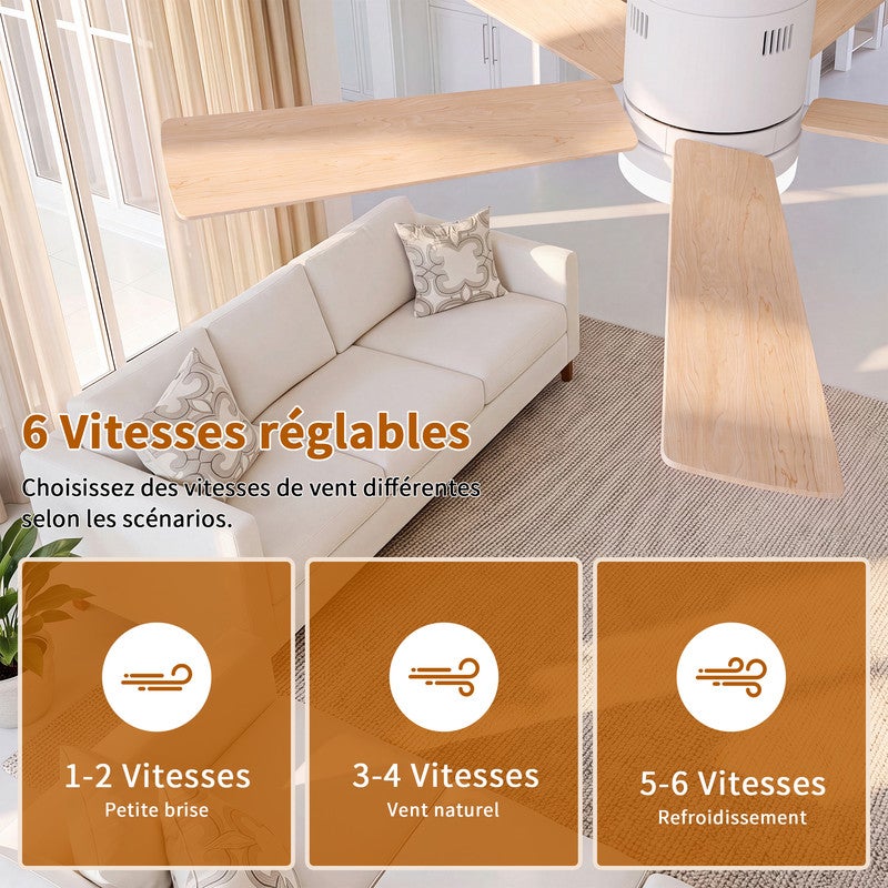 Ventilateur de Plafond, LED avec Lumière et Telecommande, Ventilateur Dimmable Plafonnier, 5 Pales, 6 Vitesses, Silencieux, Diamètre 106cm - 5