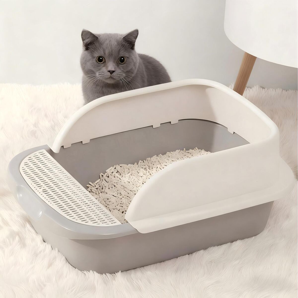 TopMeow Arena Gatti 4,6 kg Crema Assorbente Naturale 4 Pezzi - 2