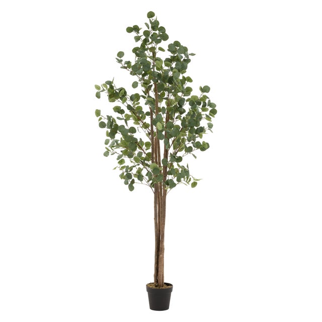 Eucalyptus Artificiel 210cm