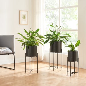 Supporto Per Piante In Metallo A Forma Di X - Esagonale 70 Cm, Fioriera Da Terra In Ferro Verniciato, Nero - 2