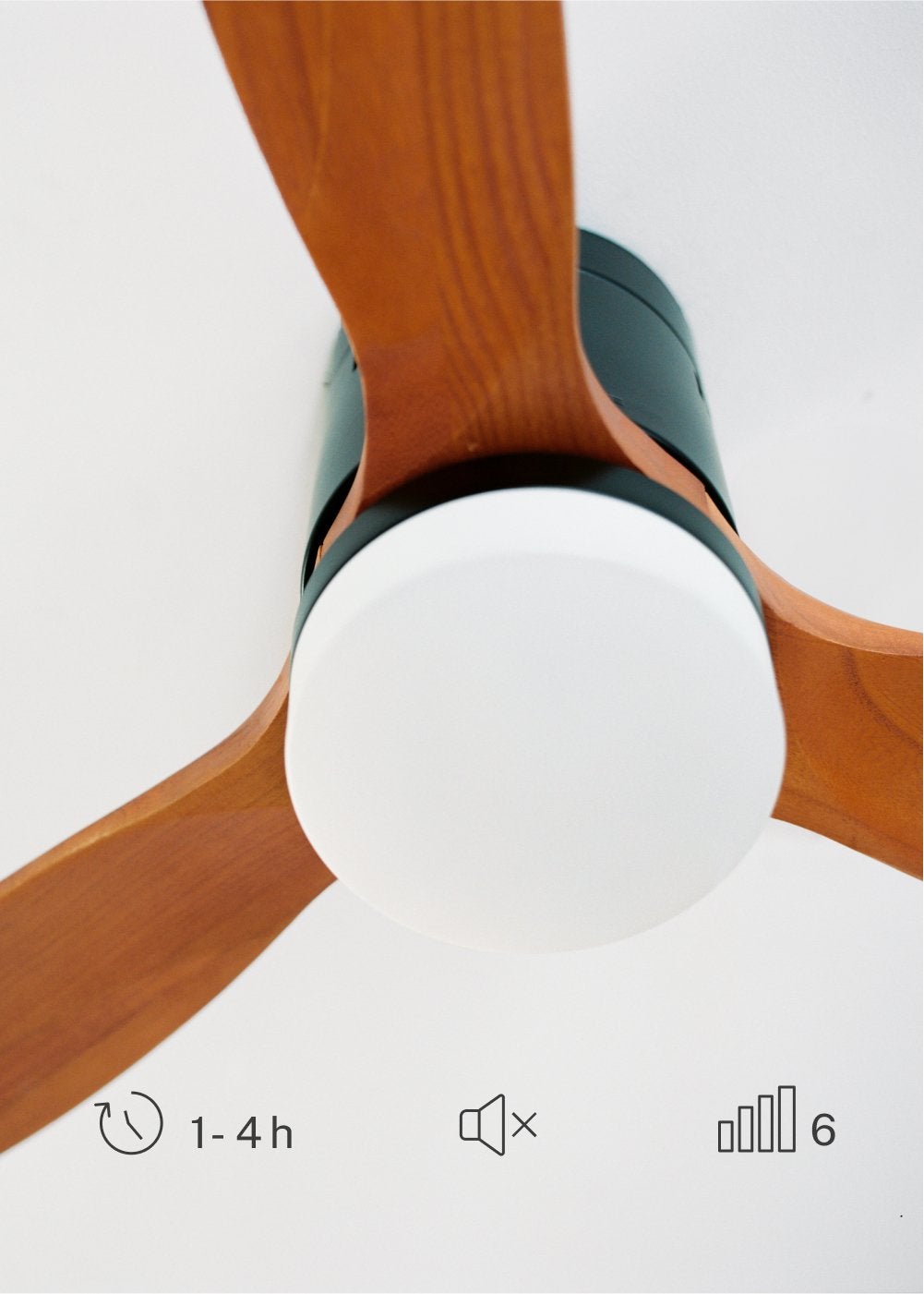 WIND CALM M - Ventilador de teto silencioso de 40 W com pás técnicas em ABS de vários tamanhos - Com luz - sem wifi - 7