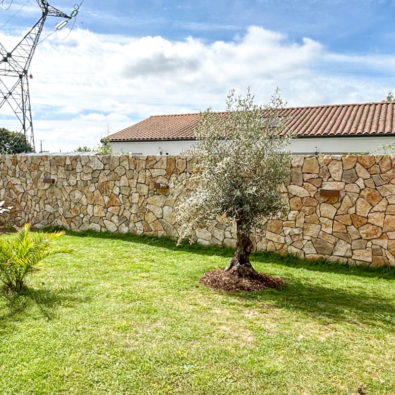 Pierre de parement naturelle brune 1/2 cm - Vendu au m² - 2