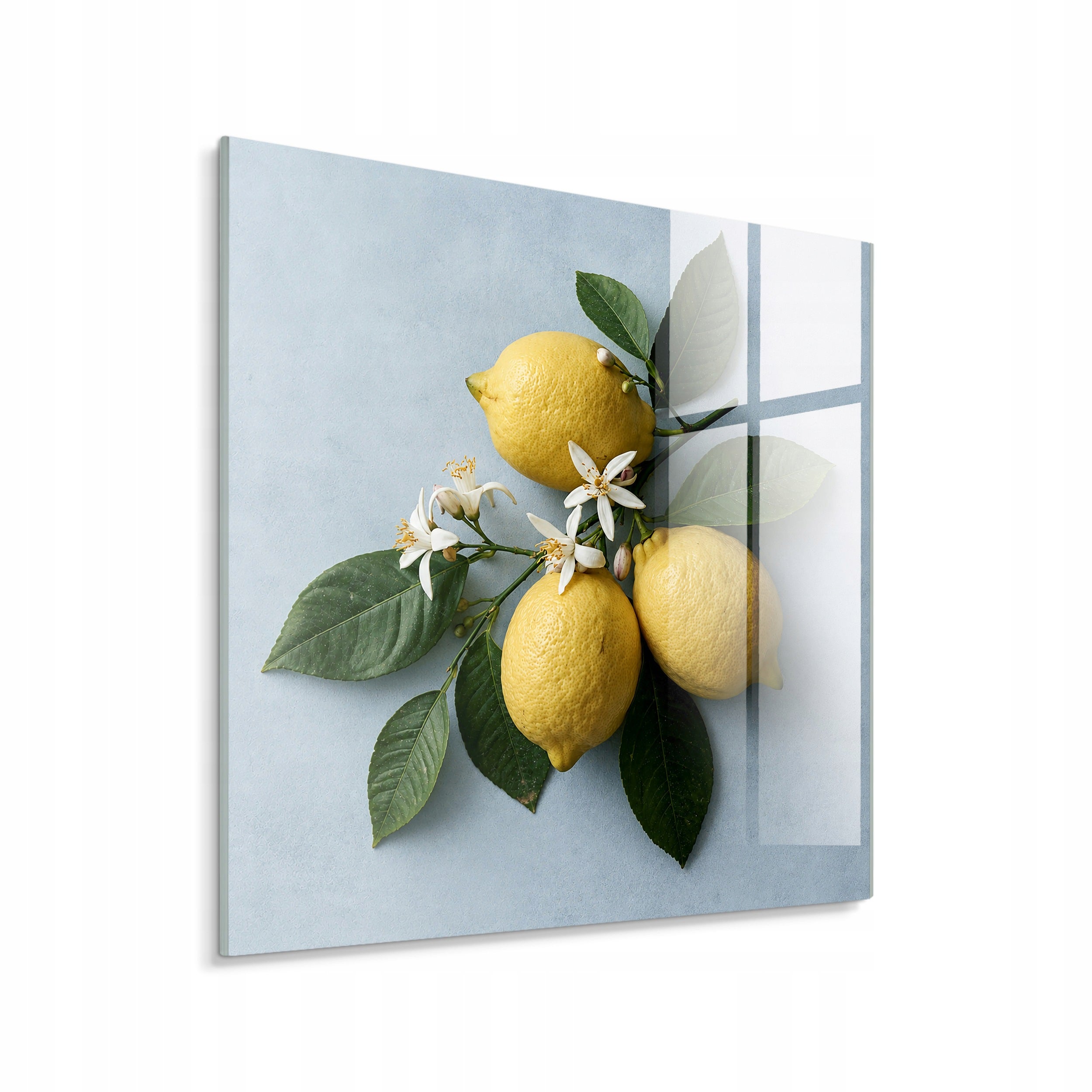 STYLER Tablou pe sticlă Glasspik lămâi 30 x 30 cm, decor modern de perete pentru living, dormitor și casă, stil modern