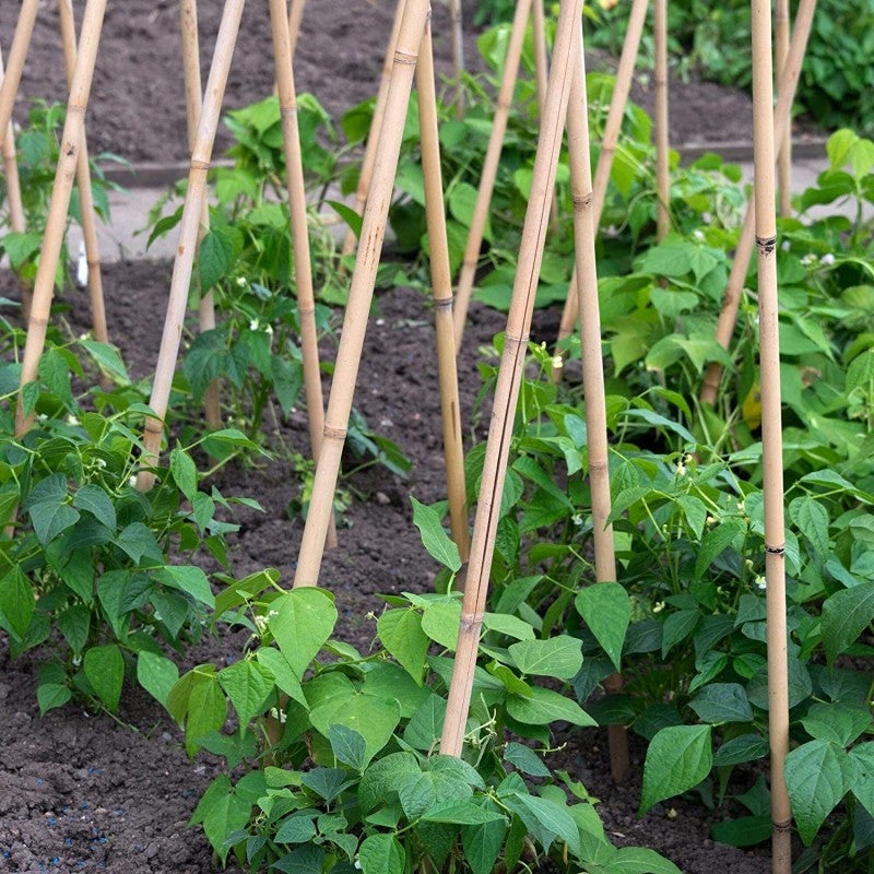 Lot de 500 Tuteur en Bambou 150 cm, 8-10 mm, Tubes en Bambou pour Plantes et Arbres, Baguettes de bambou, Canne de bambou - 8