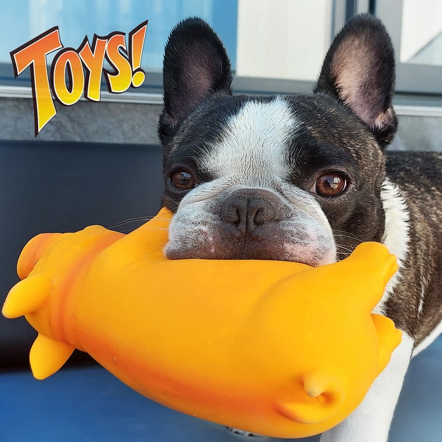 Juguetes de latex para perros shop
