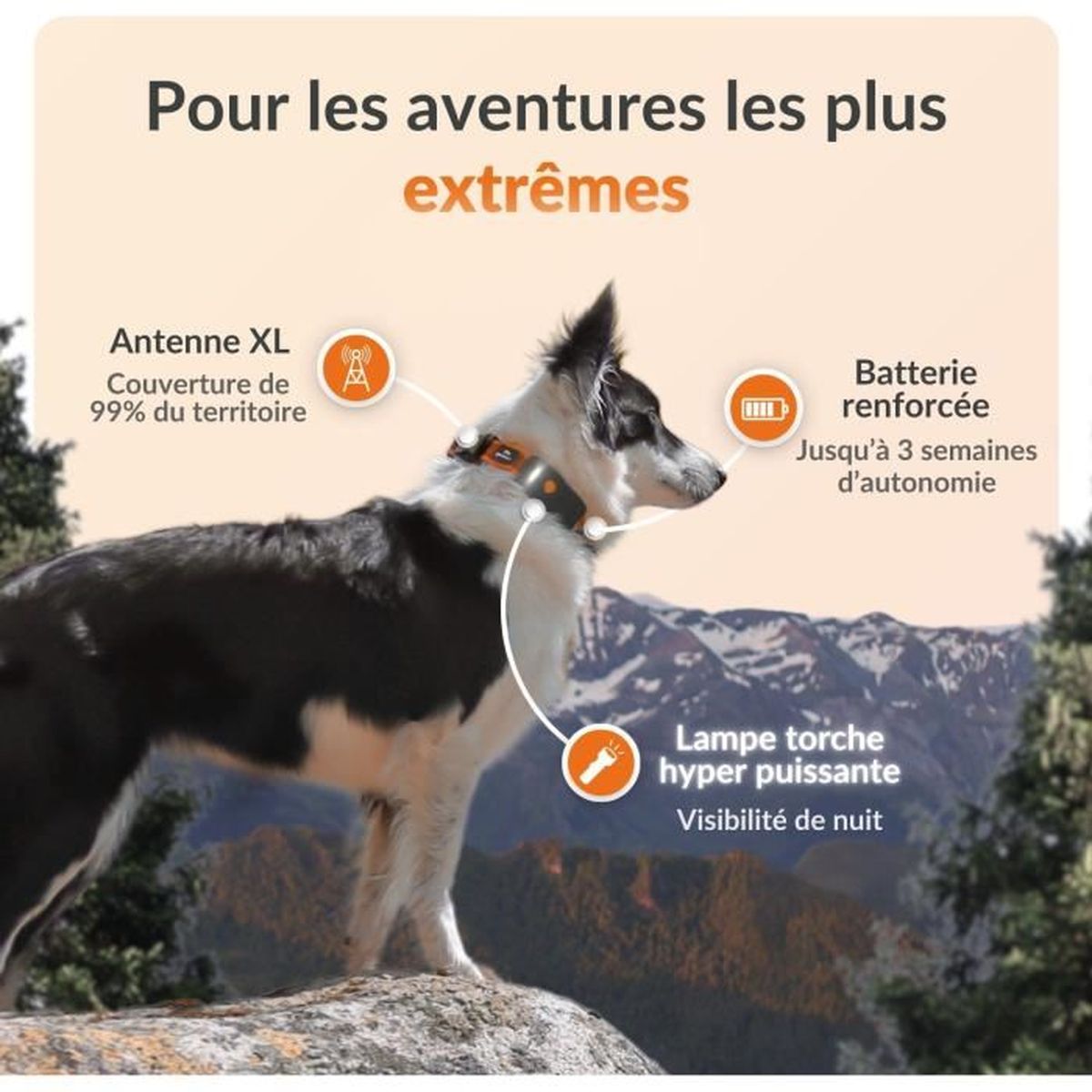 Coleira GPS para cães - WEENECT Dog XT - Antena XL - Ä prova d'água - Coleira Julius-K9 - Funciona com singura - Laranja - 9