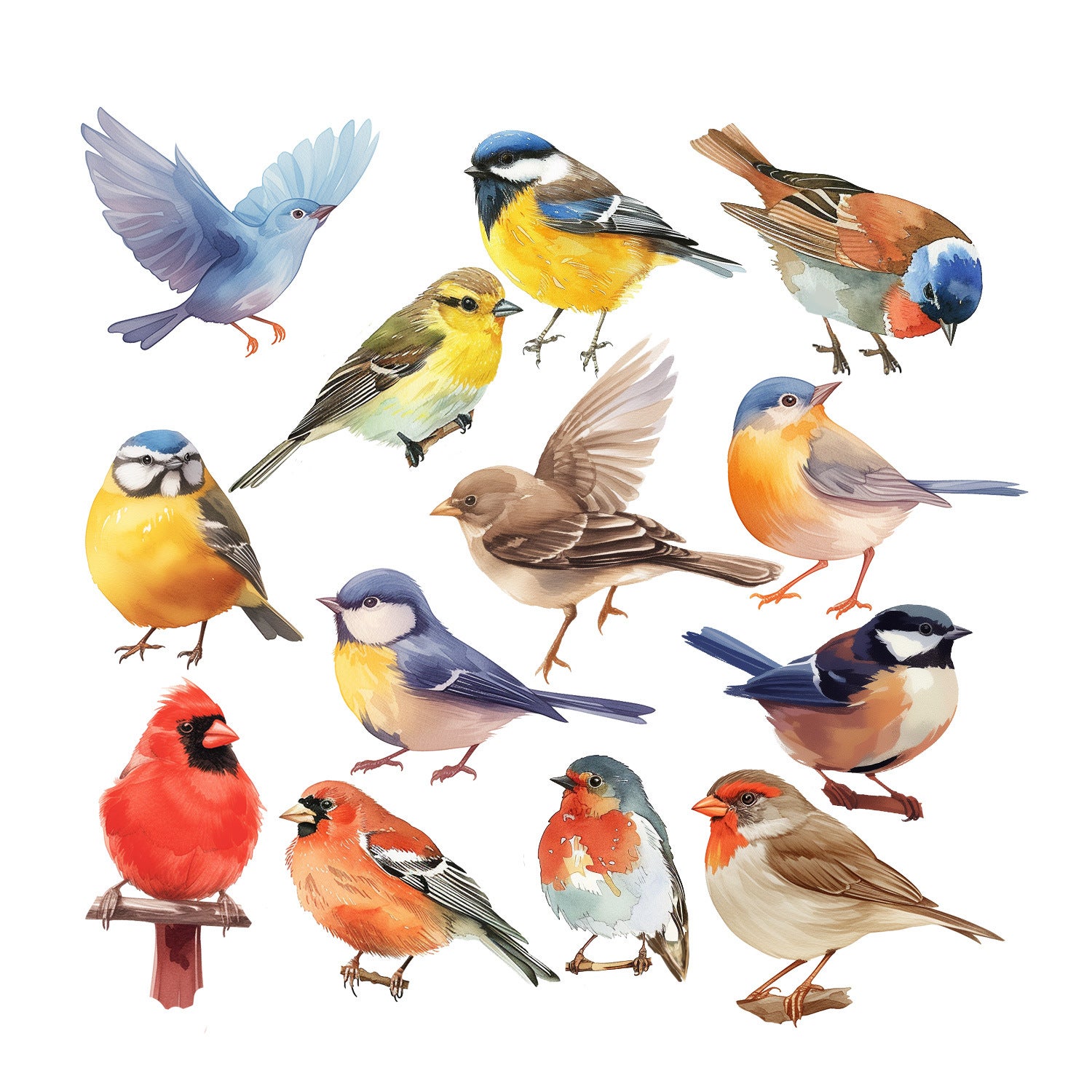 Autocollants Fenêtre Oiseaux de Colibri Anti-Collision Stickers Oiseaux Colorée Stickers Vitre Anti-Adhésifs Fenêtre Porte Chambre Décalques - 5