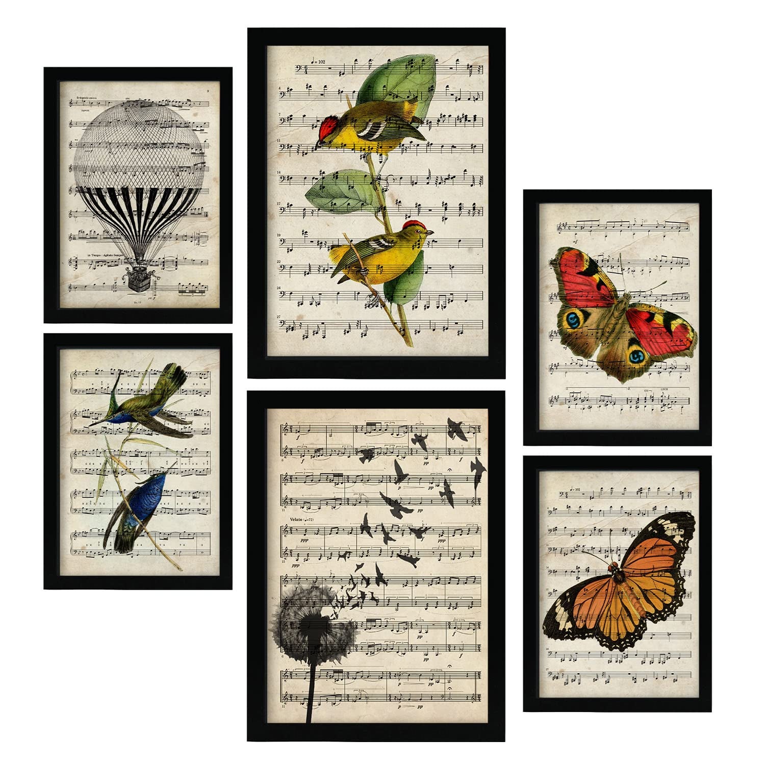 Nacnic posters de partituras ilustraciones estilo enciclopedia vintage con pájaros y mariposas naturaleza y vuelo para la a4 & a3 marco negro