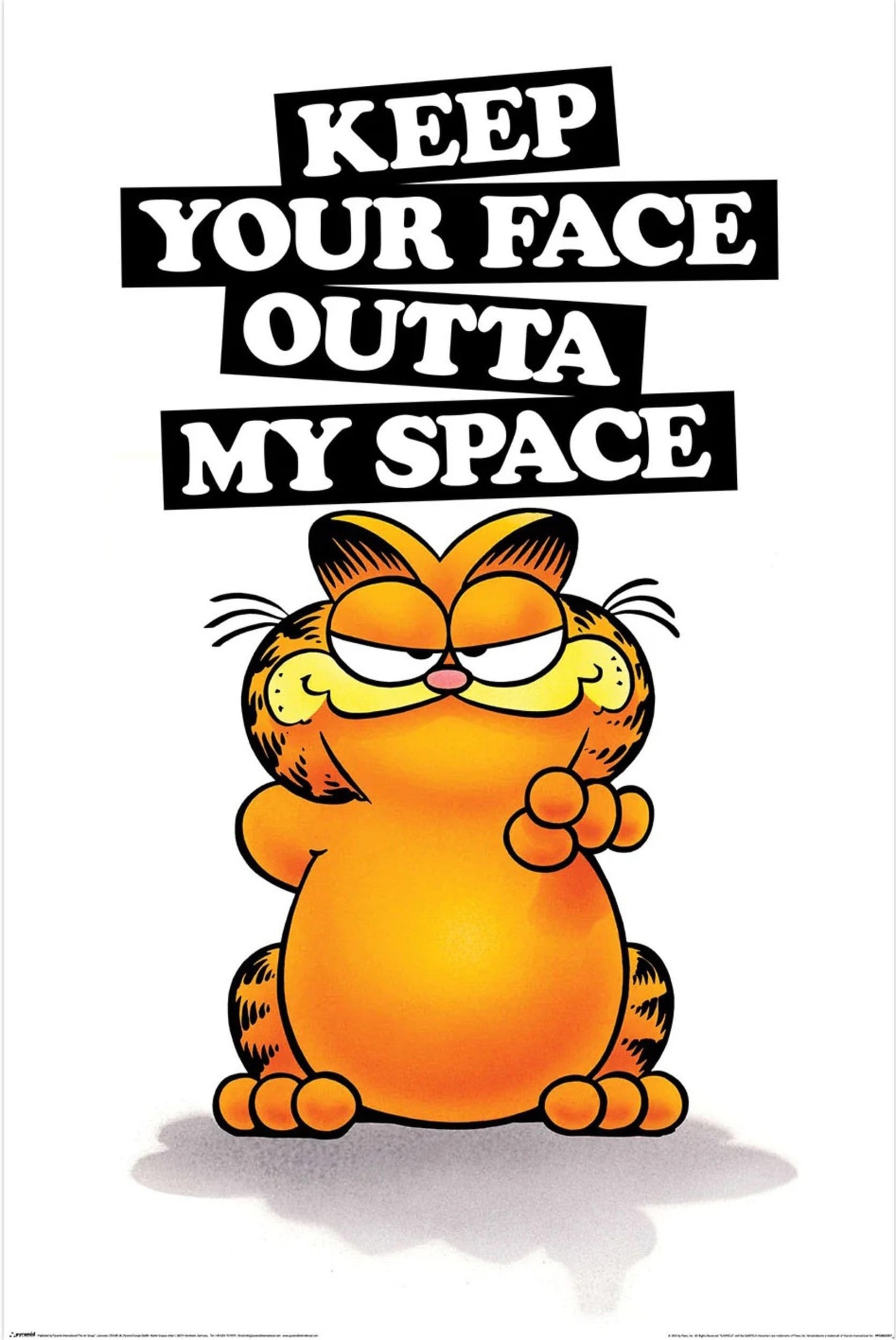 Poster Officiel Garfield 61x91,5 Cm – Affiche Murale BD, Déco Chambre Enfant Ou Salon