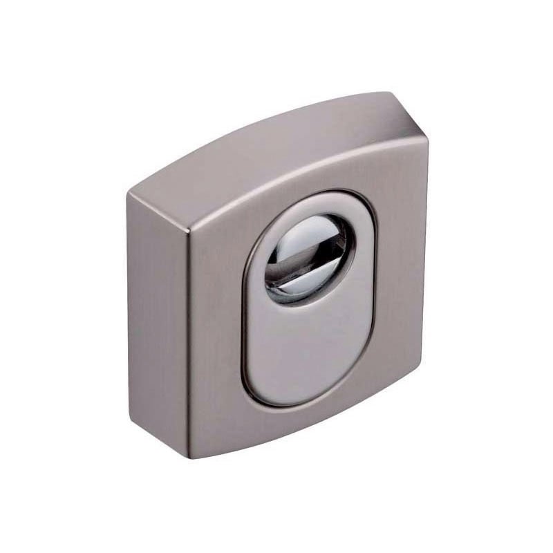 Rosace artis et muze - Décor : Platine - VACHETTE - 3