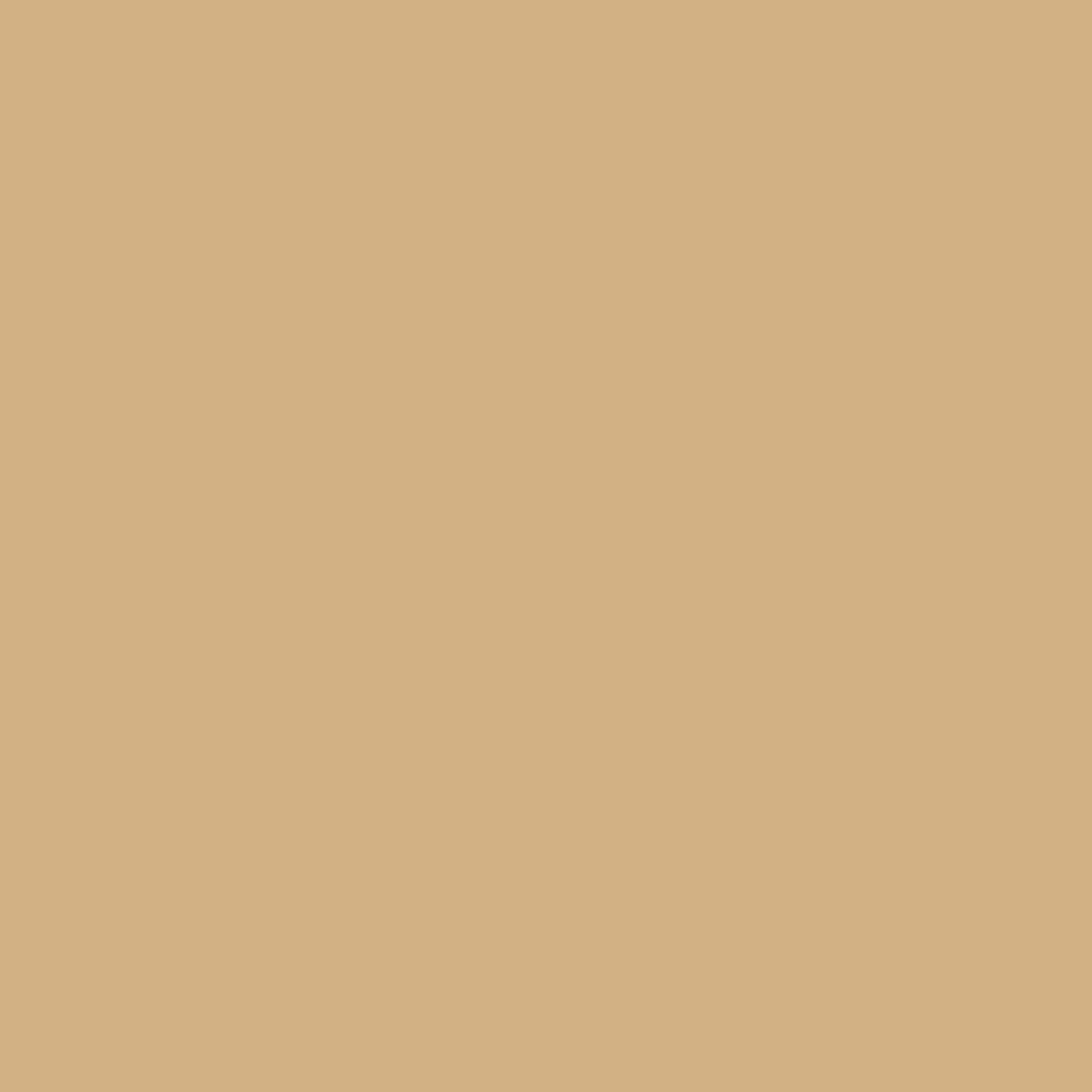 Pittura vellutata per pareti e soffitti: ARCADECO - 1211 - 10 L (+ o - 120m² per strato) Beige - RAL 1001 - ARCANE INDUSTRIES - 2