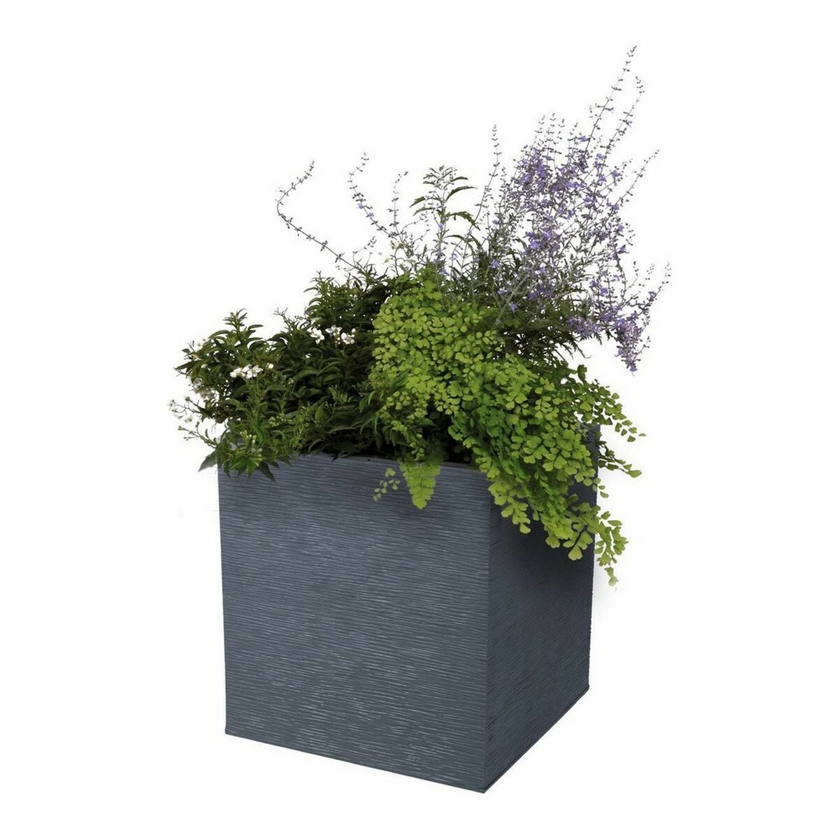 Jardinière carrée Graphit Up 29,5 x 29,5 x 29,5 cm - 21 L - Gris anthracite - Eda - 6