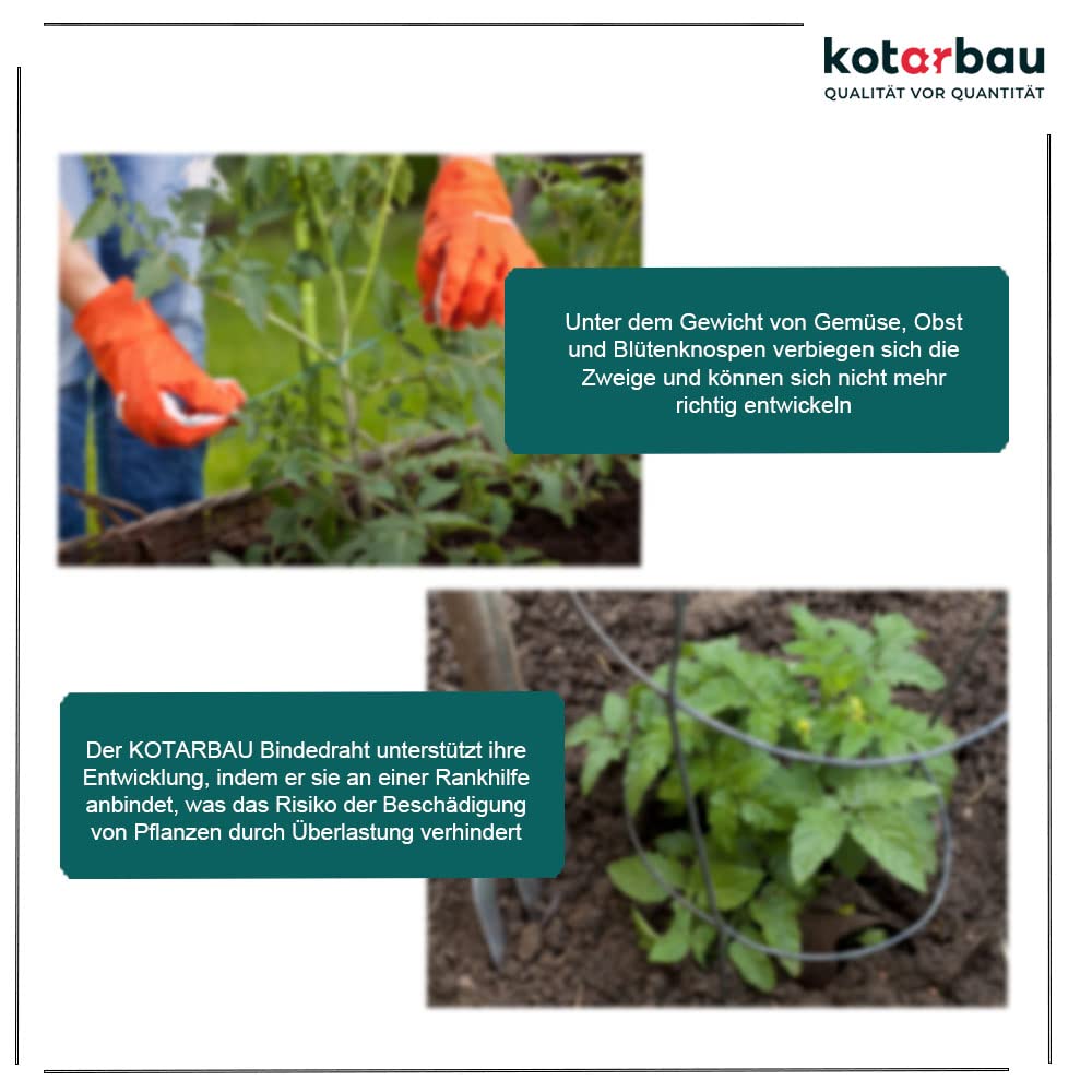 Fil de Jardin Galvanisé, diamètre 0,8 mm - 100 m - Fil de Serrage - Fil de Clôture - Pour Attacher des Plantes - KOTARBAU - 5