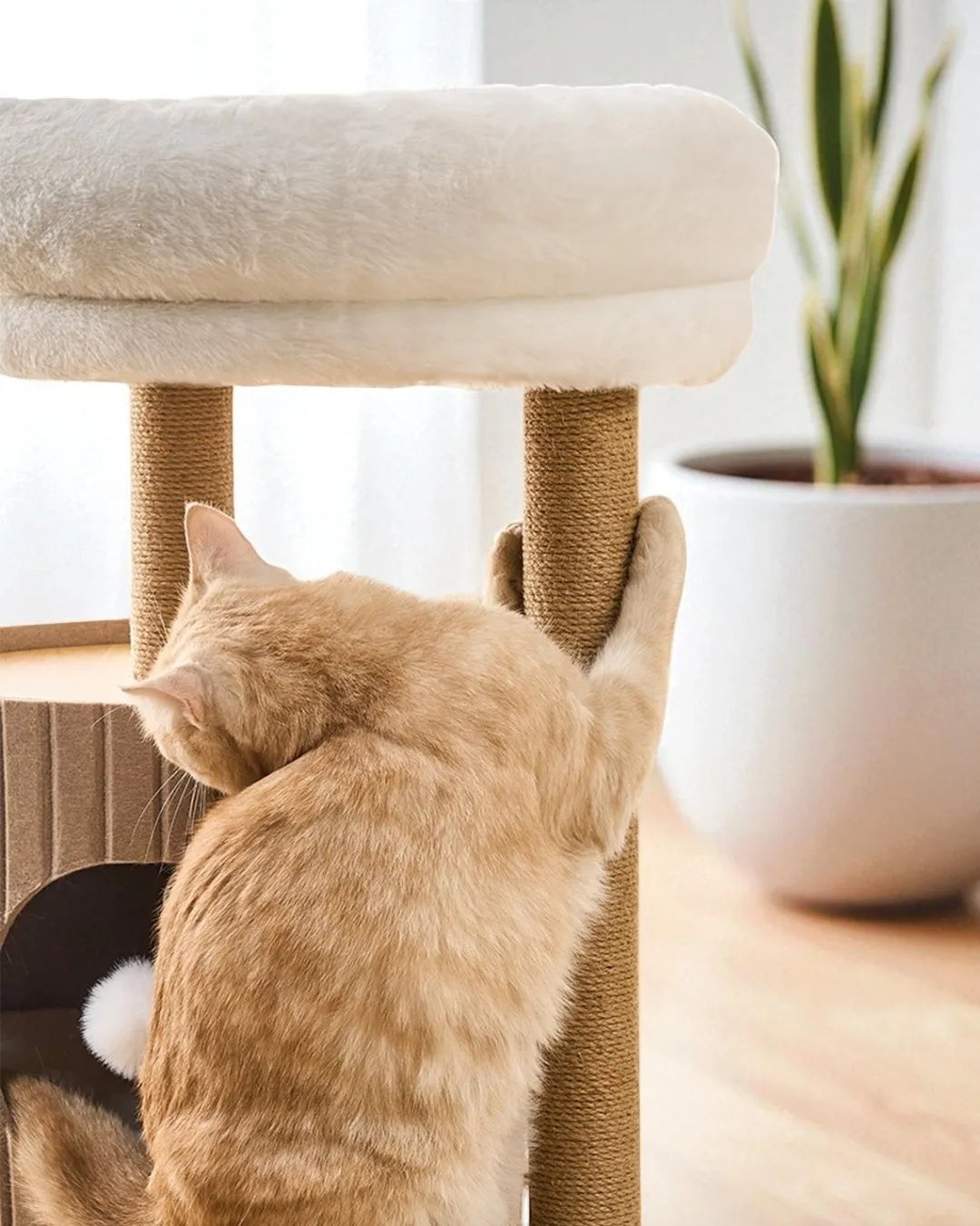 Arbre à chat HORIZONTE au design moderne avec refuge confortable ALTHEA LIVING 93x61x41cm Marron - 5