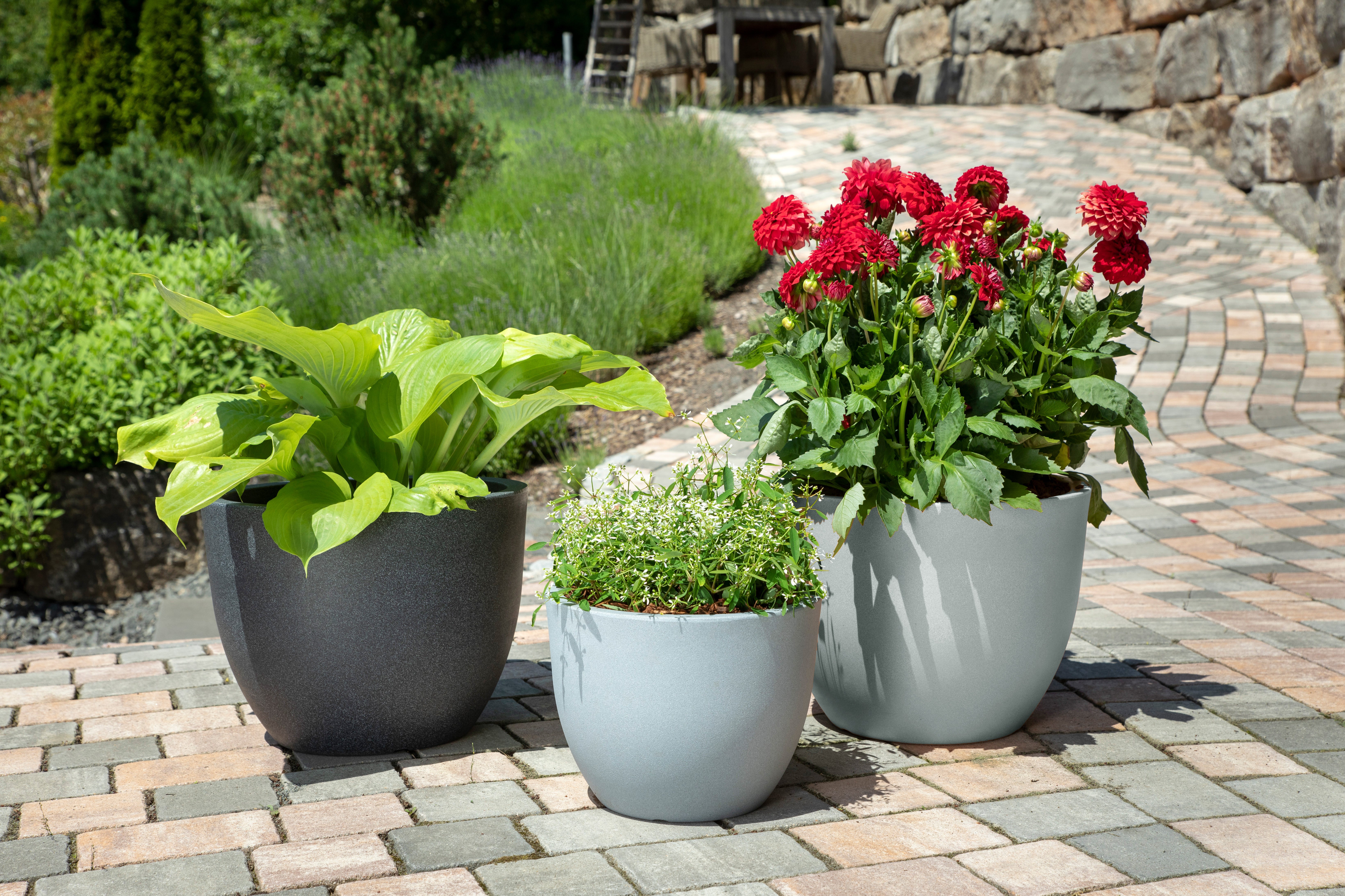 Scheurich Firenze 40, bac à plantes/pot à fleurs/jardinière, cylindrique, coloris: Granit noir, fabriqué avec du plastique recyclé, pour l’extérieur - 2