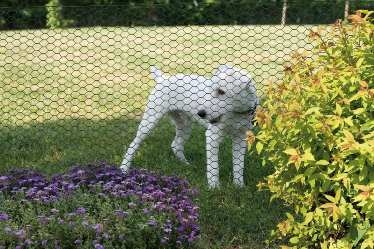 Grillage métal plastifié - 1 x 10 m/13 x 0,7 mm 