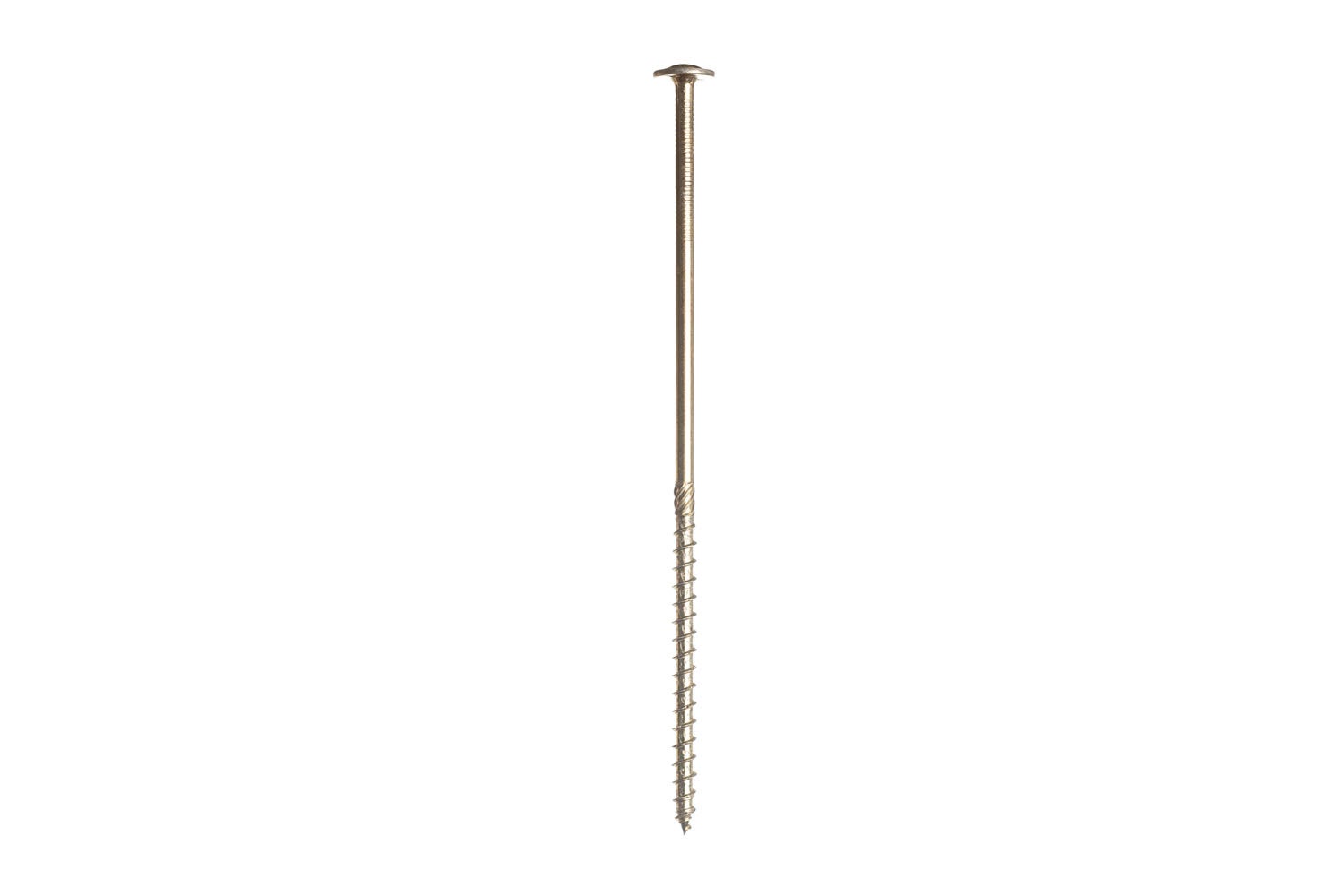TG. 40 mm) Fischer 48311 Disco per Unghie, Bianco, 40 mm - NUOVO