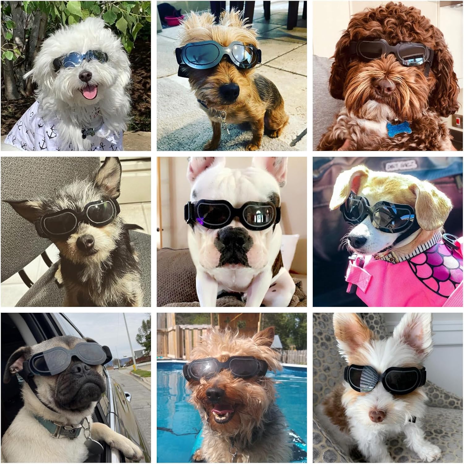 Noir Lunette pour Chien Anti-UV Anti-Neige Lunettes pour Petit Chien Chiot Chat Lunettes de Protection - 5