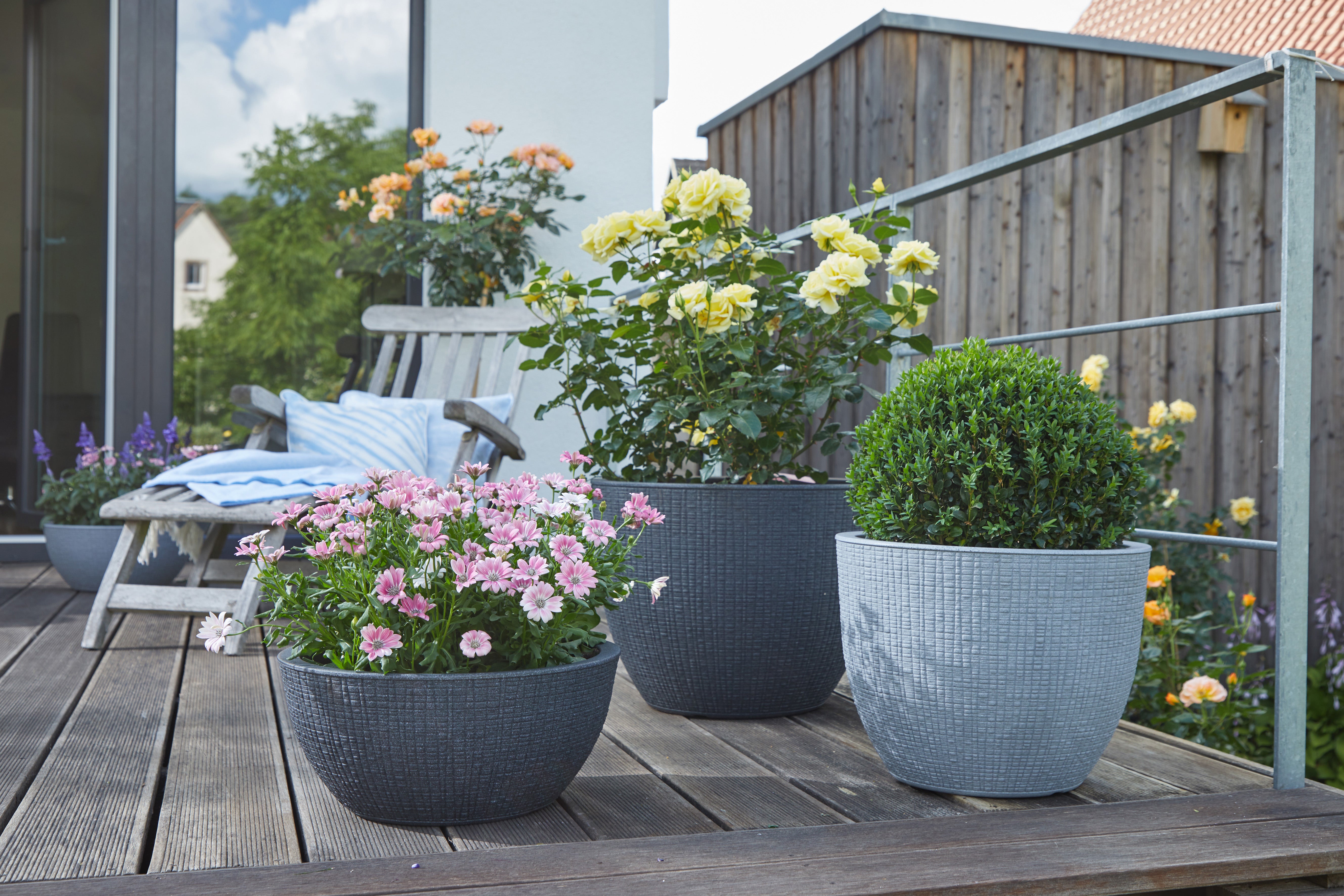 Scheurich Barceo 40, bac à plantes/pot à fleurs/jardinière, cylindrique, coloris: Stony Grey, fabriqué avec du plastique recyclé, pour l’extérieur - 3
