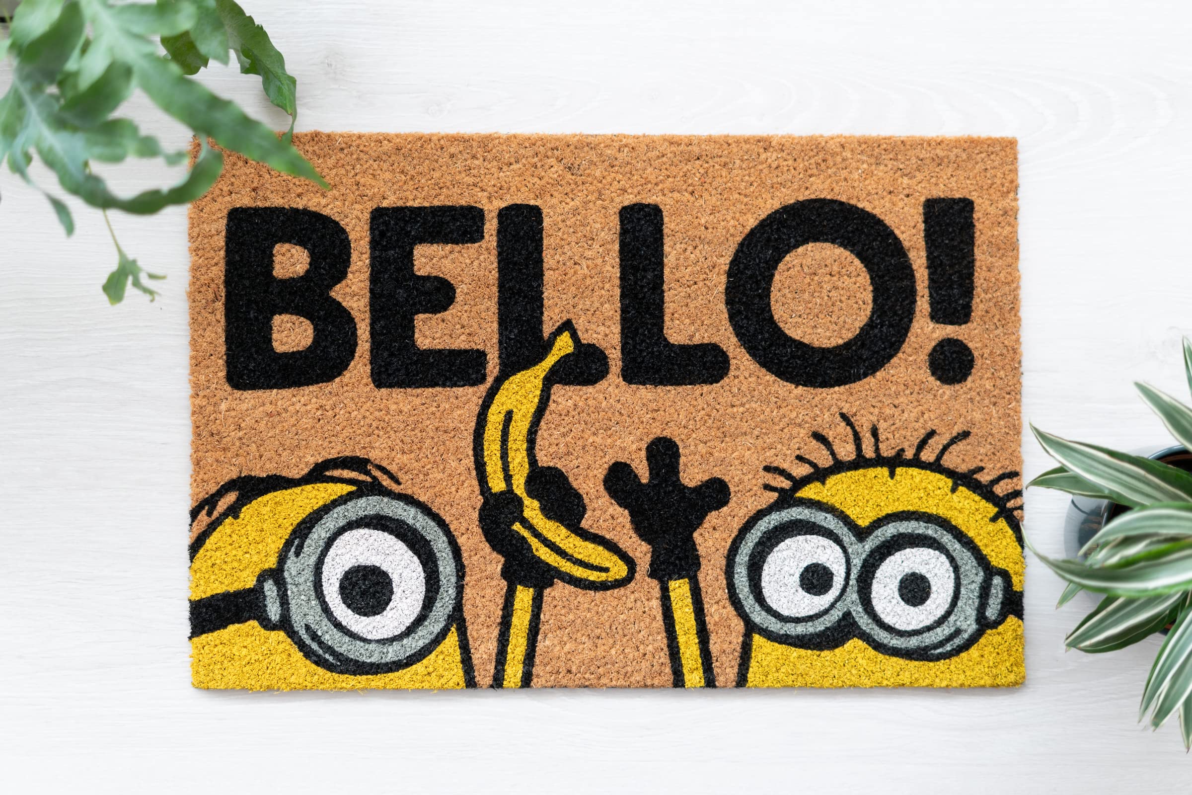 Lindo capacho dos Minions! - 3