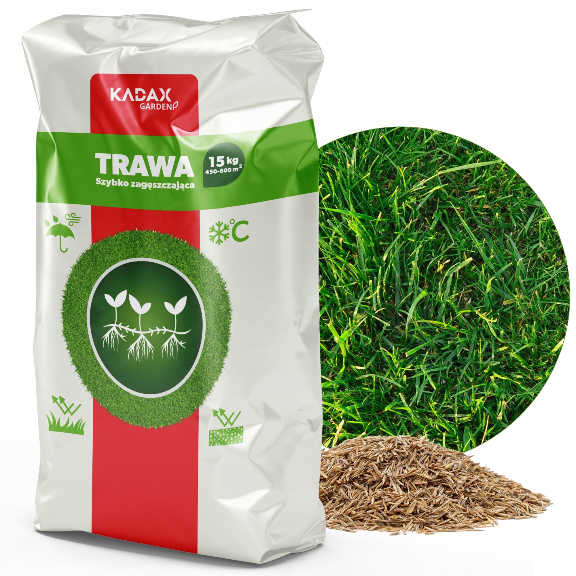 TRAWA NASIONA UNIWERSALNA SZYBKO ZAGĘSZCZAJĄCA TRAWNIK ODPORNA 15KG 600m2