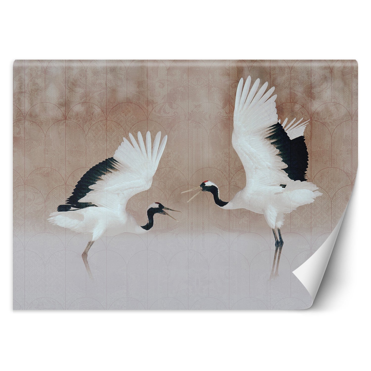 Fototapeta, Czaple Ptaki Beż 350x245