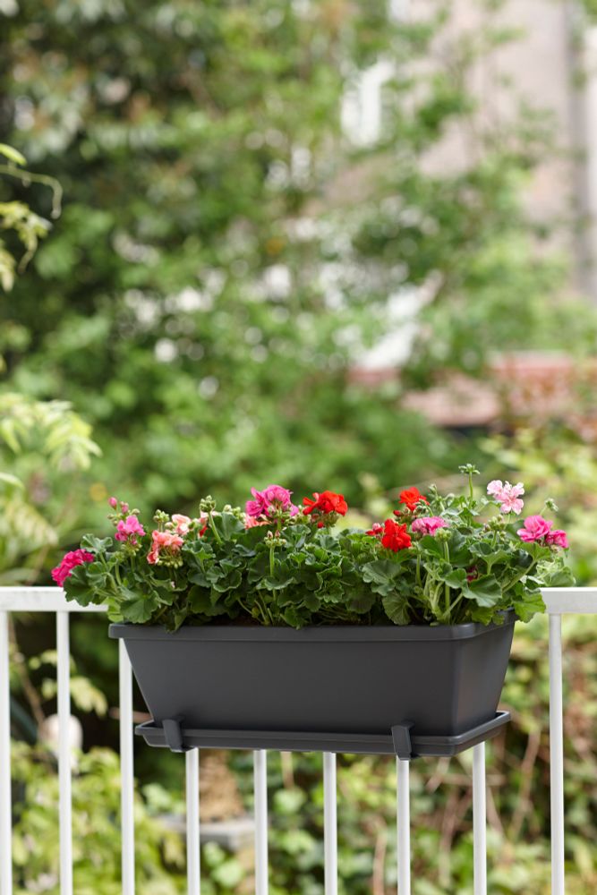 Soucoupe Jardiniere Barcelona Anthracite 50 cm - ELHO - Barcelona - Plastique - Rond - Non percé - 4