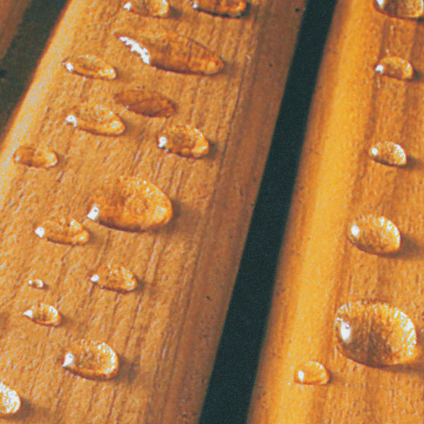 Imperméabilisant Bois Anti Tache - WoodGuard Formule Végétale Protège 5 Ans -Tous Bois- Même Bois Composite -1L-10m2 - 5