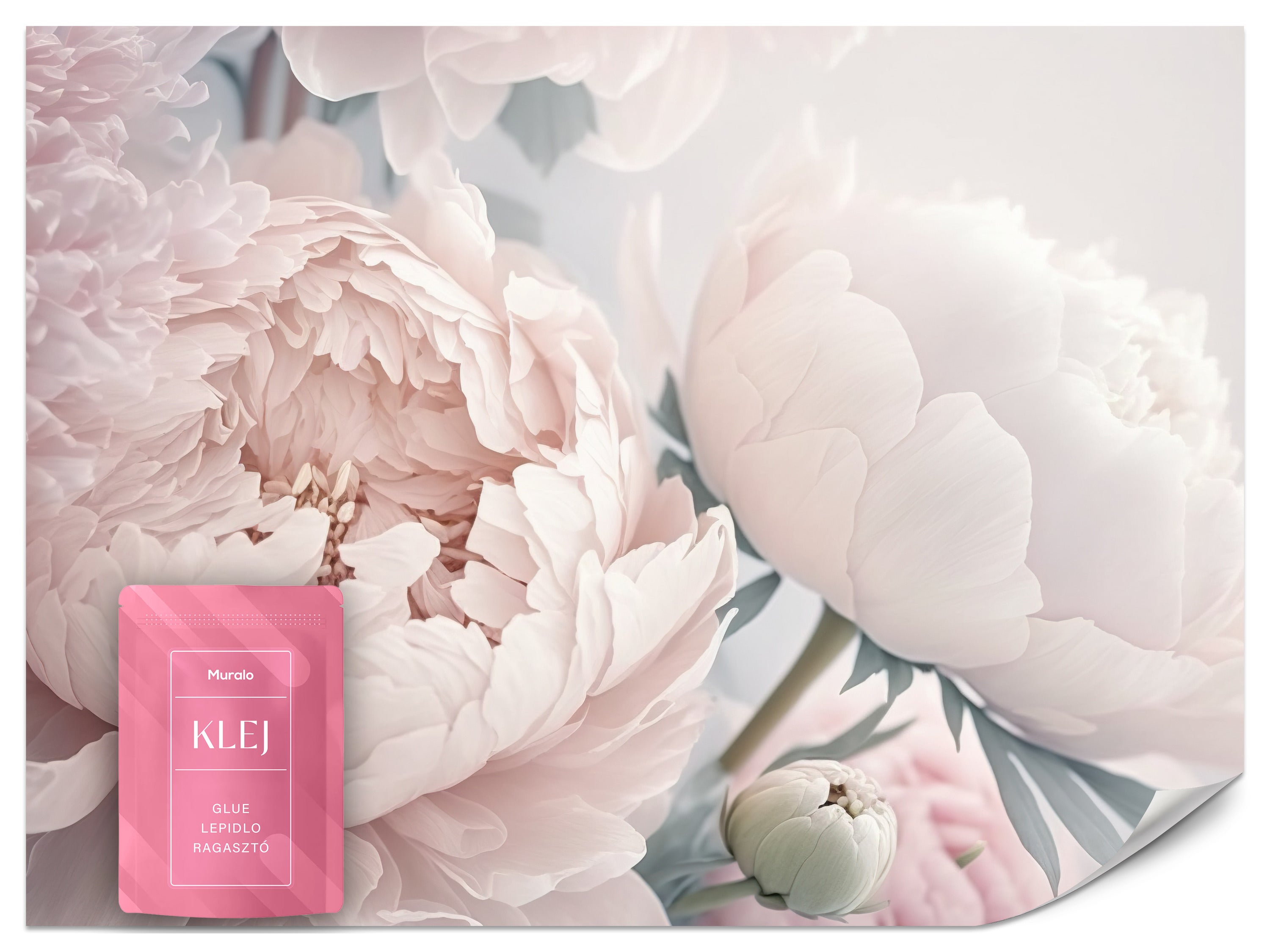 FOTOTAPETA DO SYPIALNI JASNE PEONIE PIWONIE KWIATY NATURA STYL BOHO 450x315