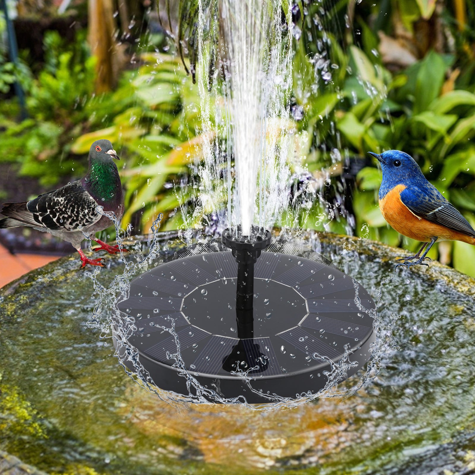 Fontaine Solaire Extérieur 1,5 W avec 4 Tiges de Support avec 6 buses Max 65cm High pour bain d'oiseaux, piscine et aquarium, 16 cm - 9