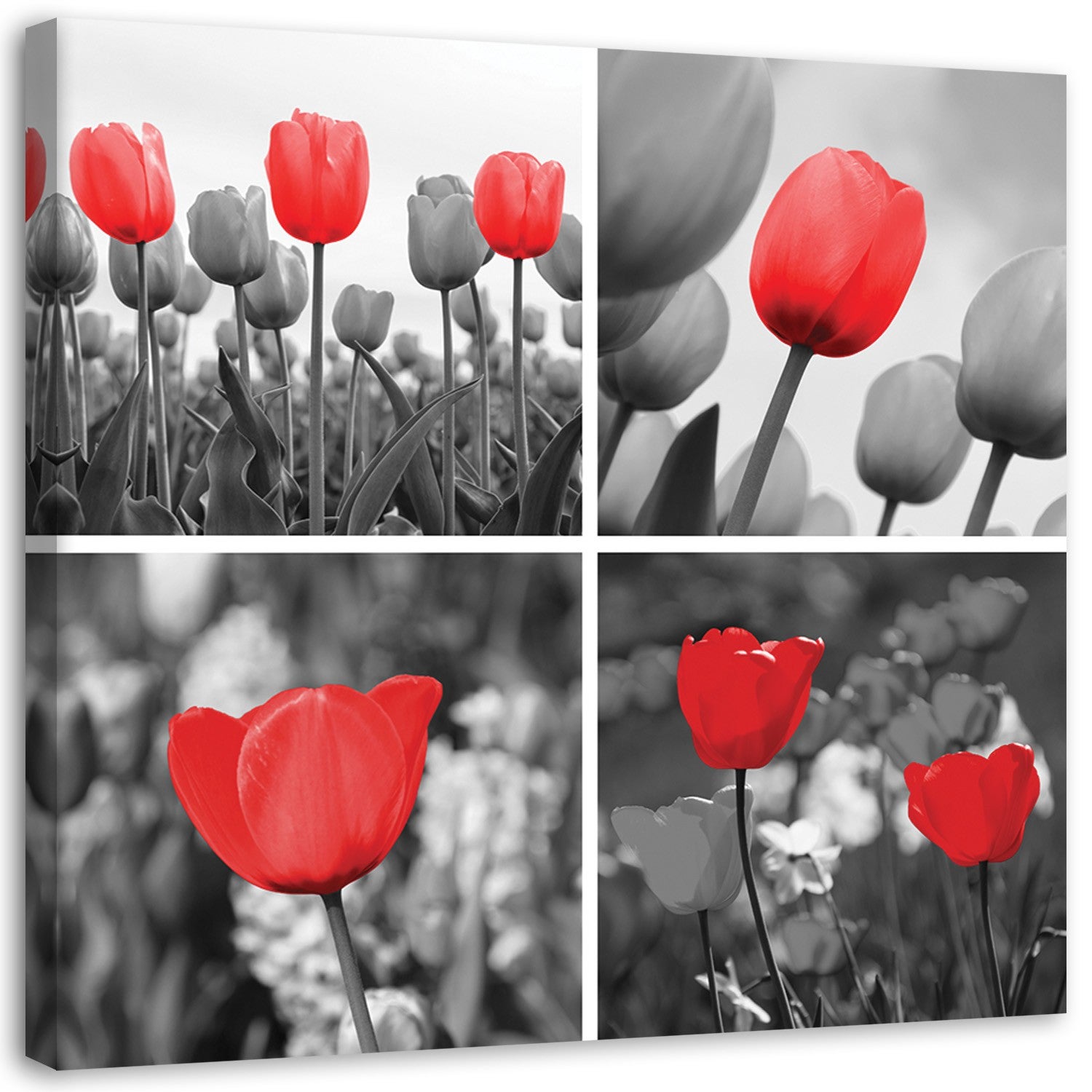 Obraz na płótnie, Czerwone tulipany kwiaty kolaż 30x30