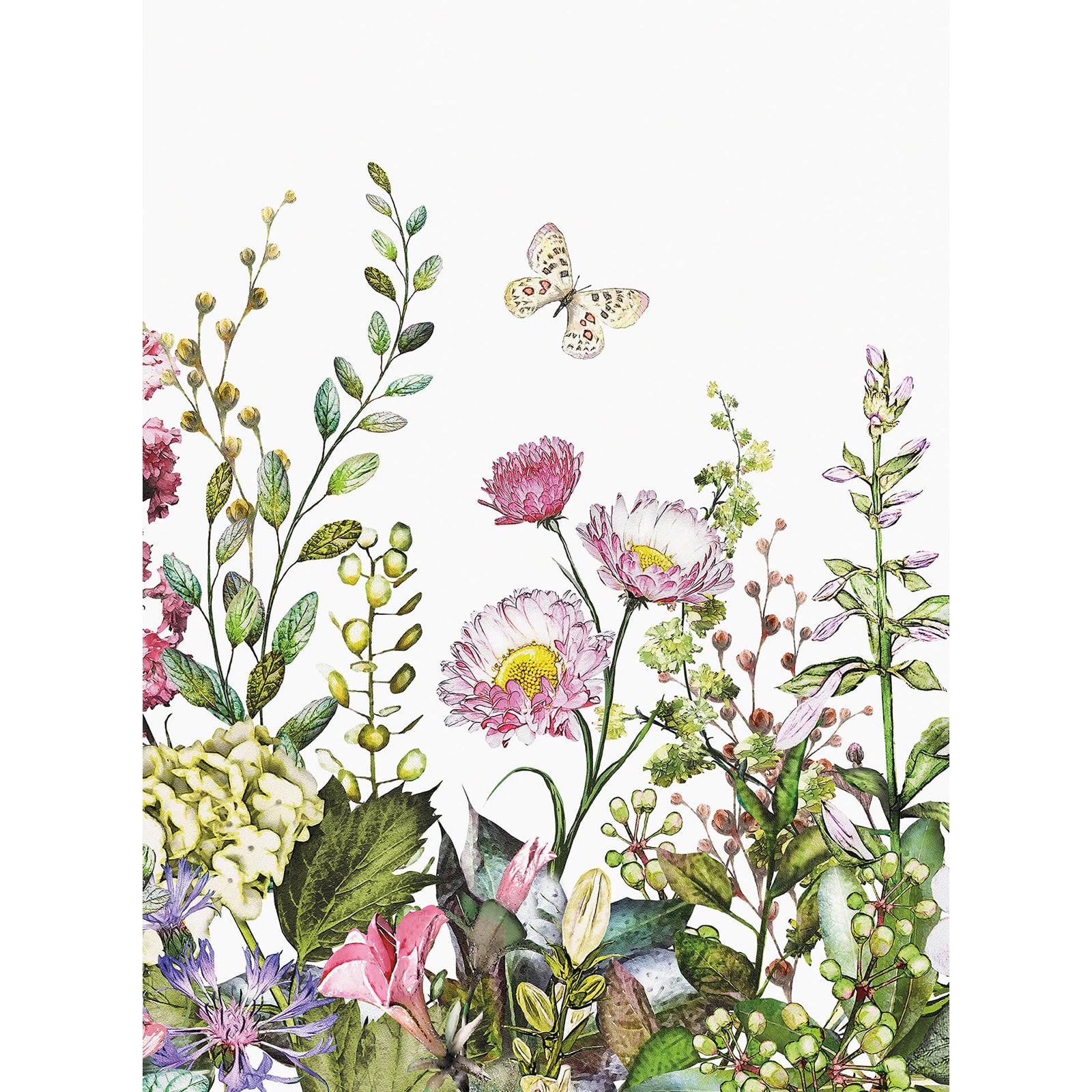 Cadre Floral Aquarelle Décoratif Peint à La Main | Vecteur Gratuite