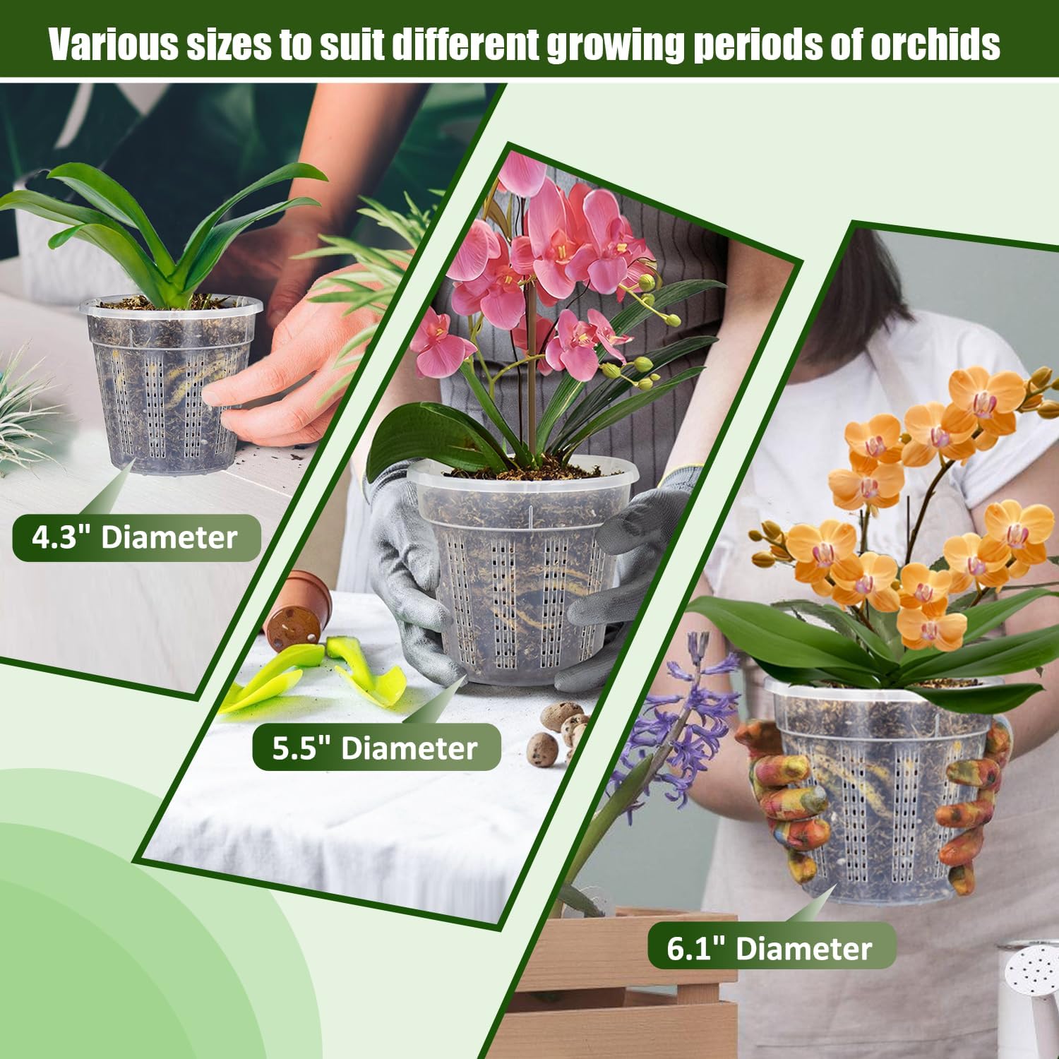 Pots orchidée 4.3 5.5 6.1 pouces trous 2 chacun rempotage plastique intérieur extérieur - 6
