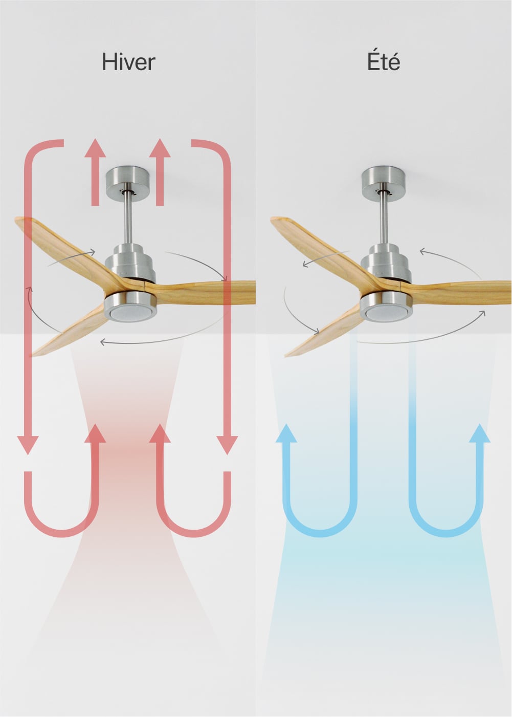 CREATE - WIND STYLANCE M - Ventilateur de plafond 40W silencieux 100% bois Ø 132 cm avec eclaraige sans wifi - 4