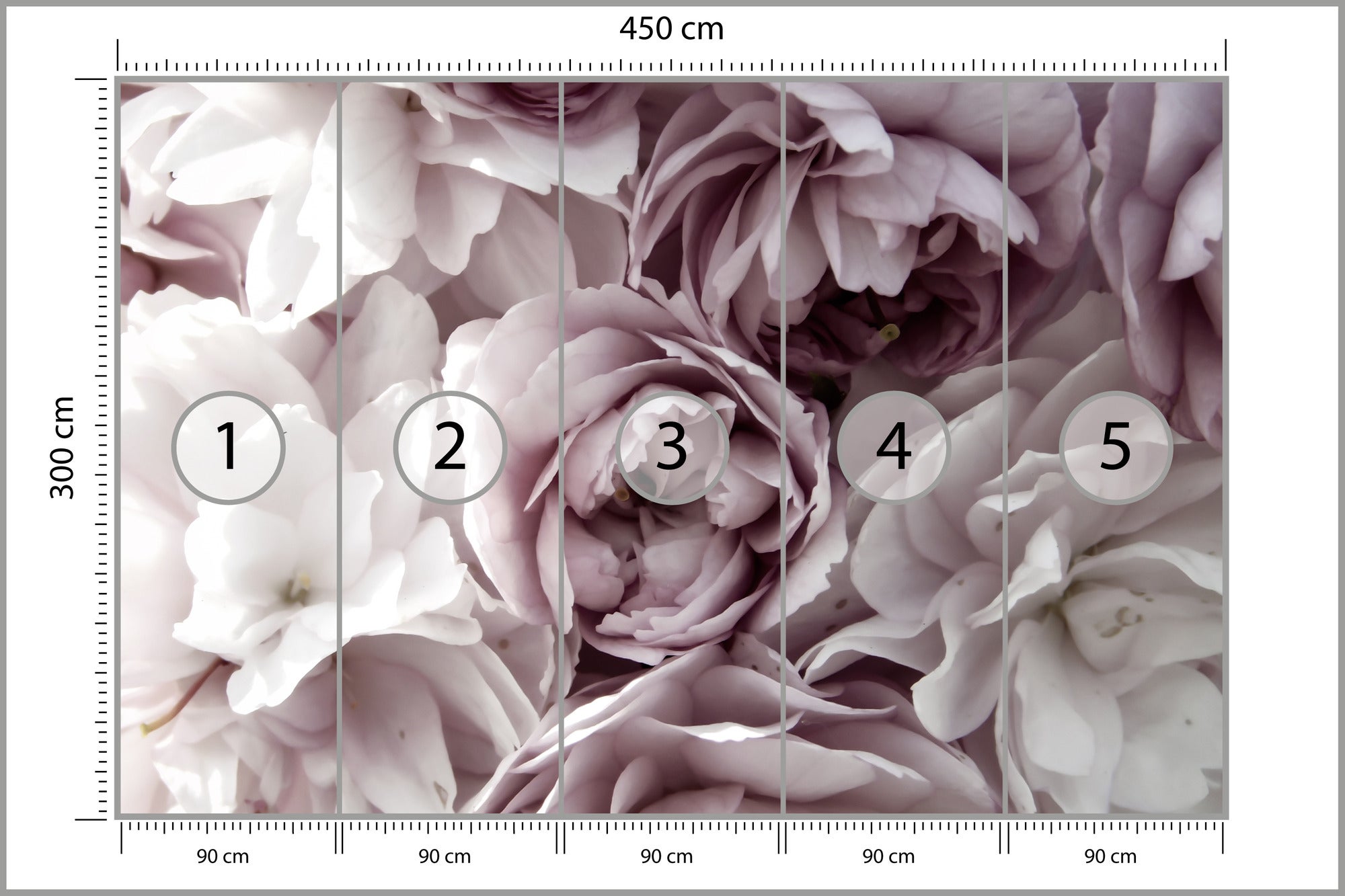 Peonías Rosas Sobre Fondo Rosa Con Espacio De Copia Diseño De Marco