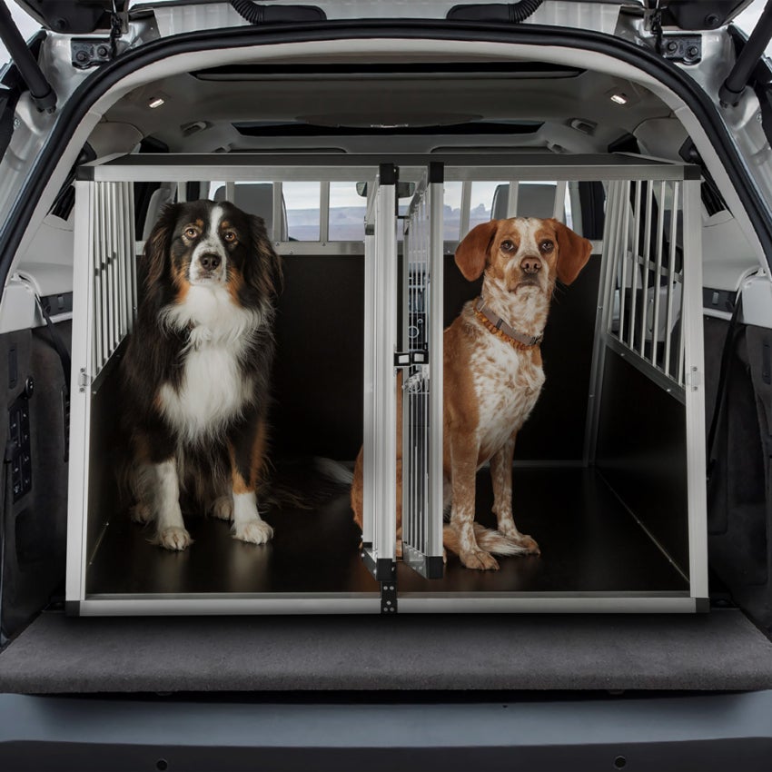 Box Trasporto Cani EUGAD 0004LL &ndash; Gabbia In Alluminio Trapezoidale Nero+Argento Per Auto