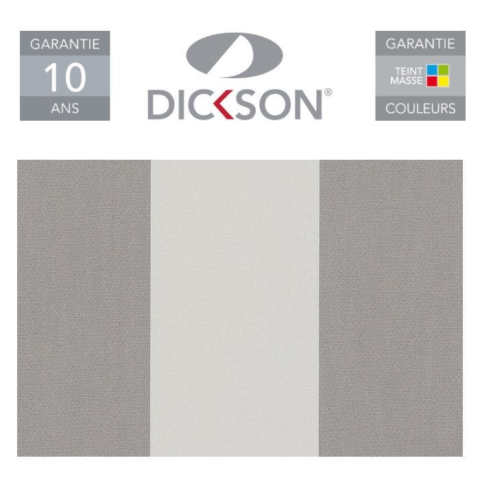 Store Banne Coffre Intégral Solares Motorisé RAL Blanc 4,8 X 3,5 Dickson® BLANC-GRIS - 5
