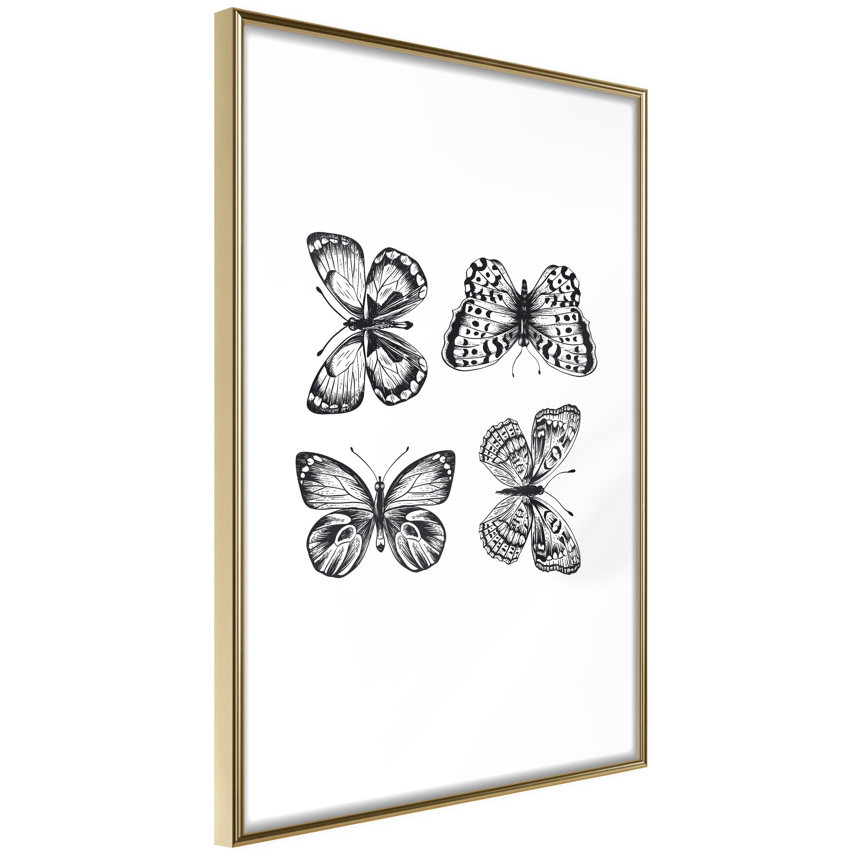 Poster Et Affiche Butterfly Collection Iii X Leroy Merlin