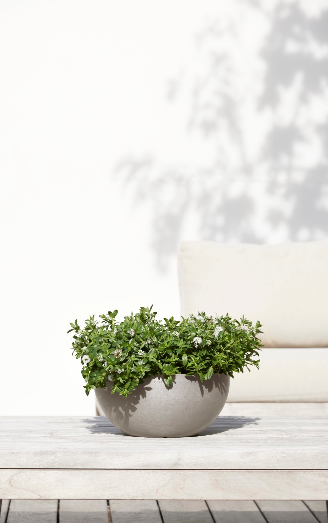 Soucoupe ronde Ecopots 30 pour pot de fleurs - L 28,7 cm x l 28,7 cm x H 3 cm - Gris foncé - Intérieur et extérieur - 4