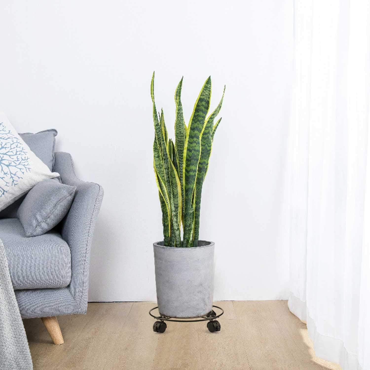 Deux chariots métalliques à roulettes, de 30 cm de long, pour supports de plantes d'intérieur et étagères à pots de fleurs. - 7