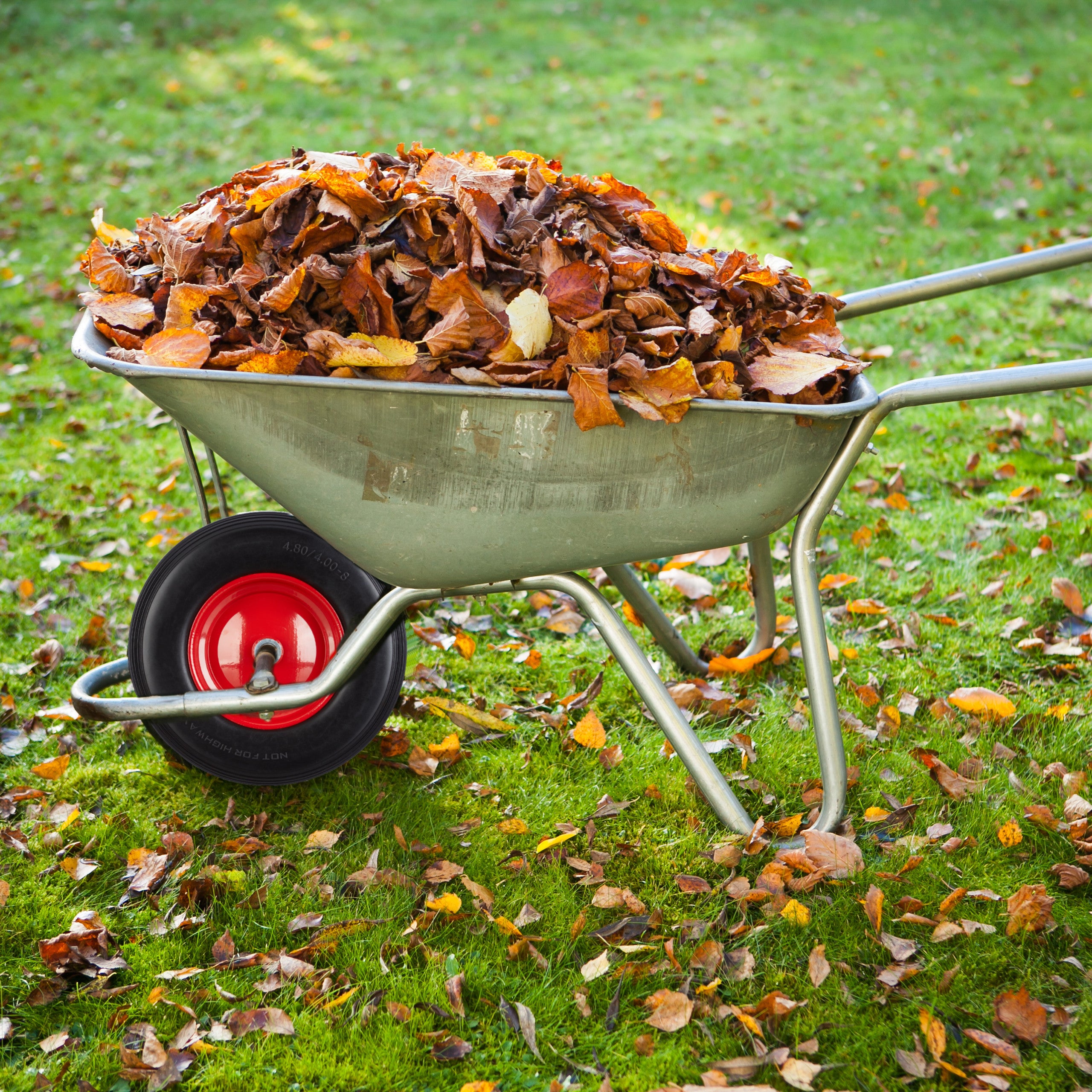 Roue de brouette 4.80 4.00-8, roue caoutchouc, roue de secours, jante, pneus diable 100 kg charge, bleu rouge, Relaxdays - 2