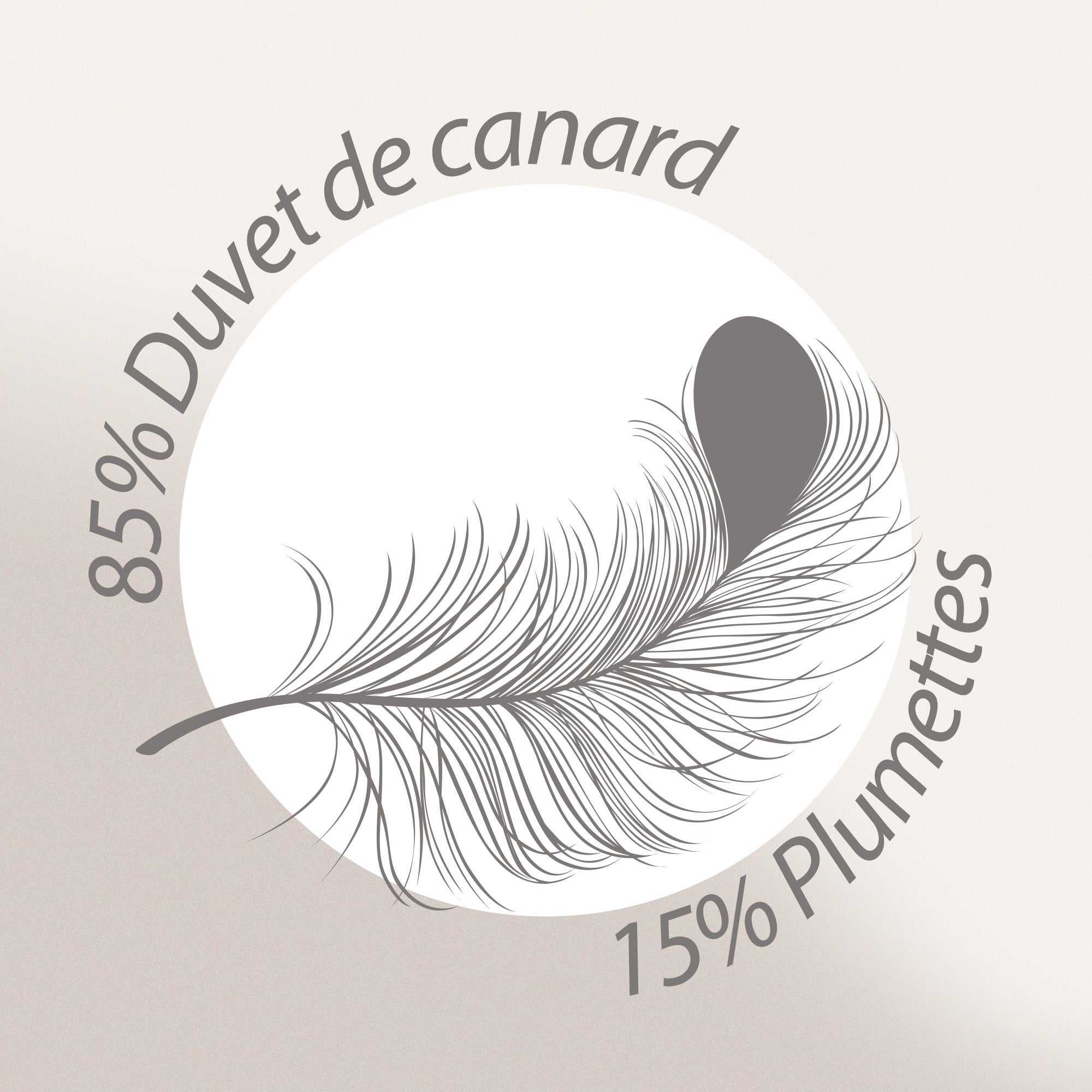 Couette 260x240 cm hiver FINLANDE garnissage naturel duvet de canard 300 g/m2 - 8