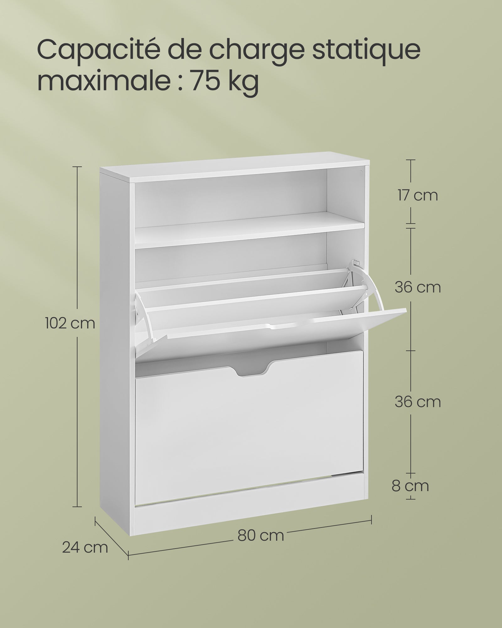 Meuble à Chaussures 2 Portes Battantes,11 à 16 Paires, pour Petite Entrée, 24 x 80 x 102 cm, Blanc Nuage - 5