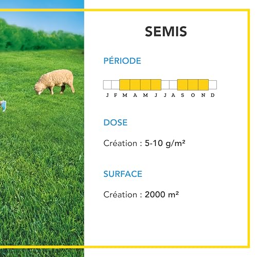 BARENBRUG - Prairie 100% Ray-grass anglais - Rapide d'Installation - Polyvalente et Appétente - Très Bonne Pérennité 4 ans et + - 10KG - 4